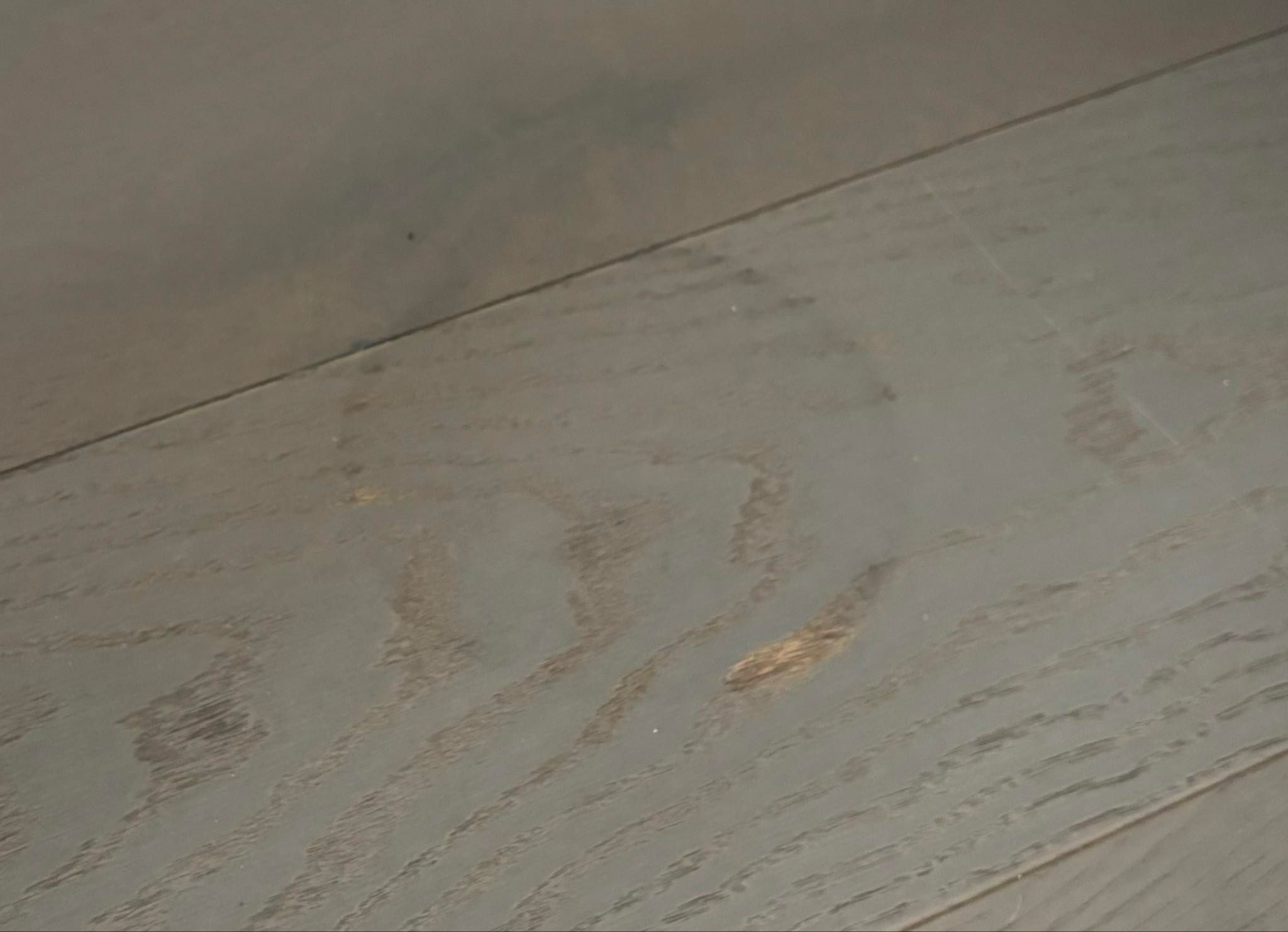 How to remove water mark on floorboard? Bunnings community