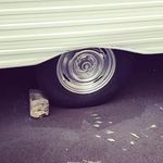 4. Wheels can be reprayed.jpg