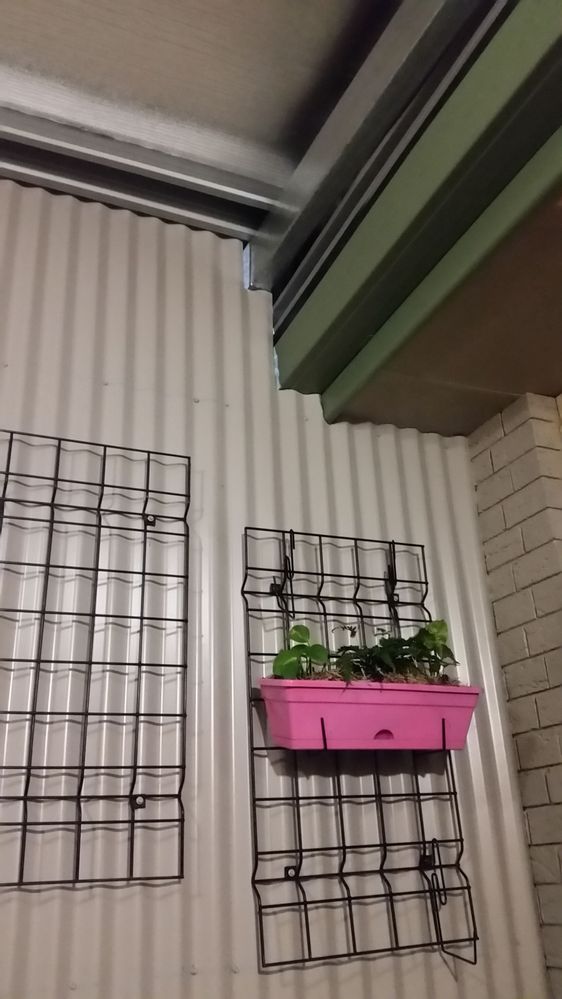 Have since added purple either side of the pink pots and opp on other side