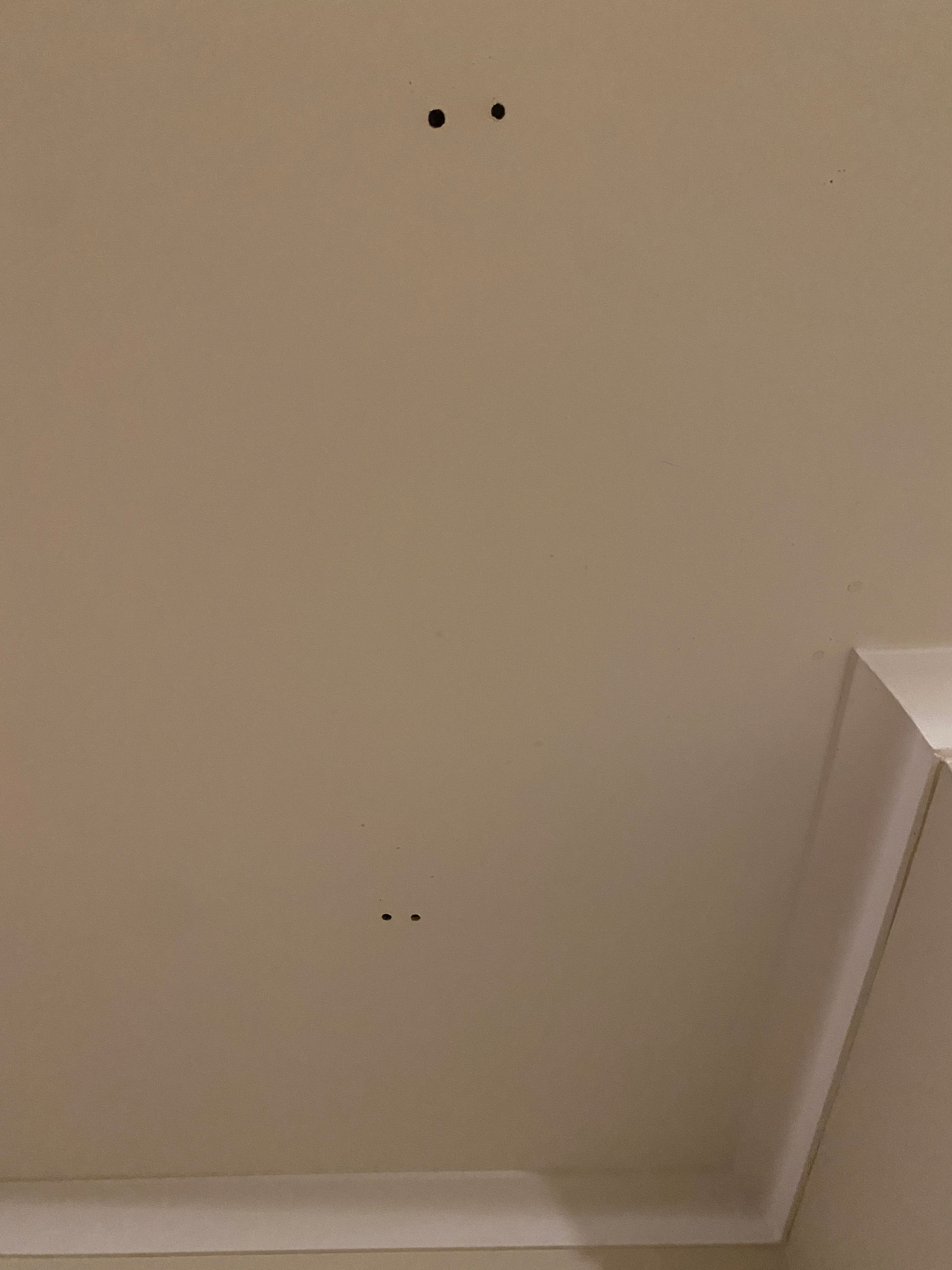 How to fix plaster ceiling that dropped? Bunnings community