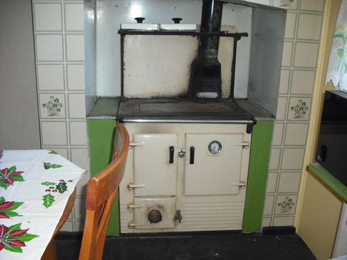Wood burning oven in kitchen