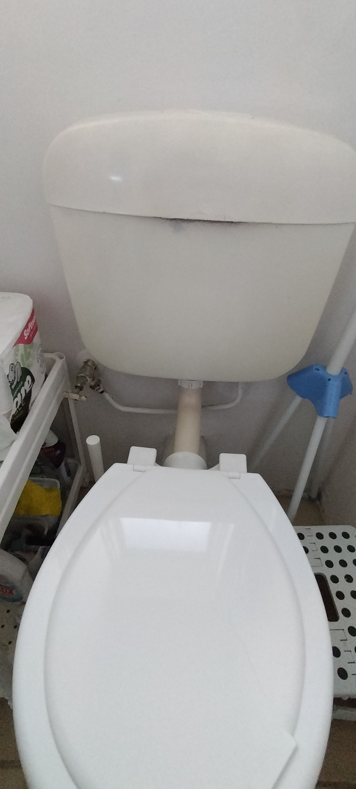 How to replace toilet cistern and hoses? Bunnings community