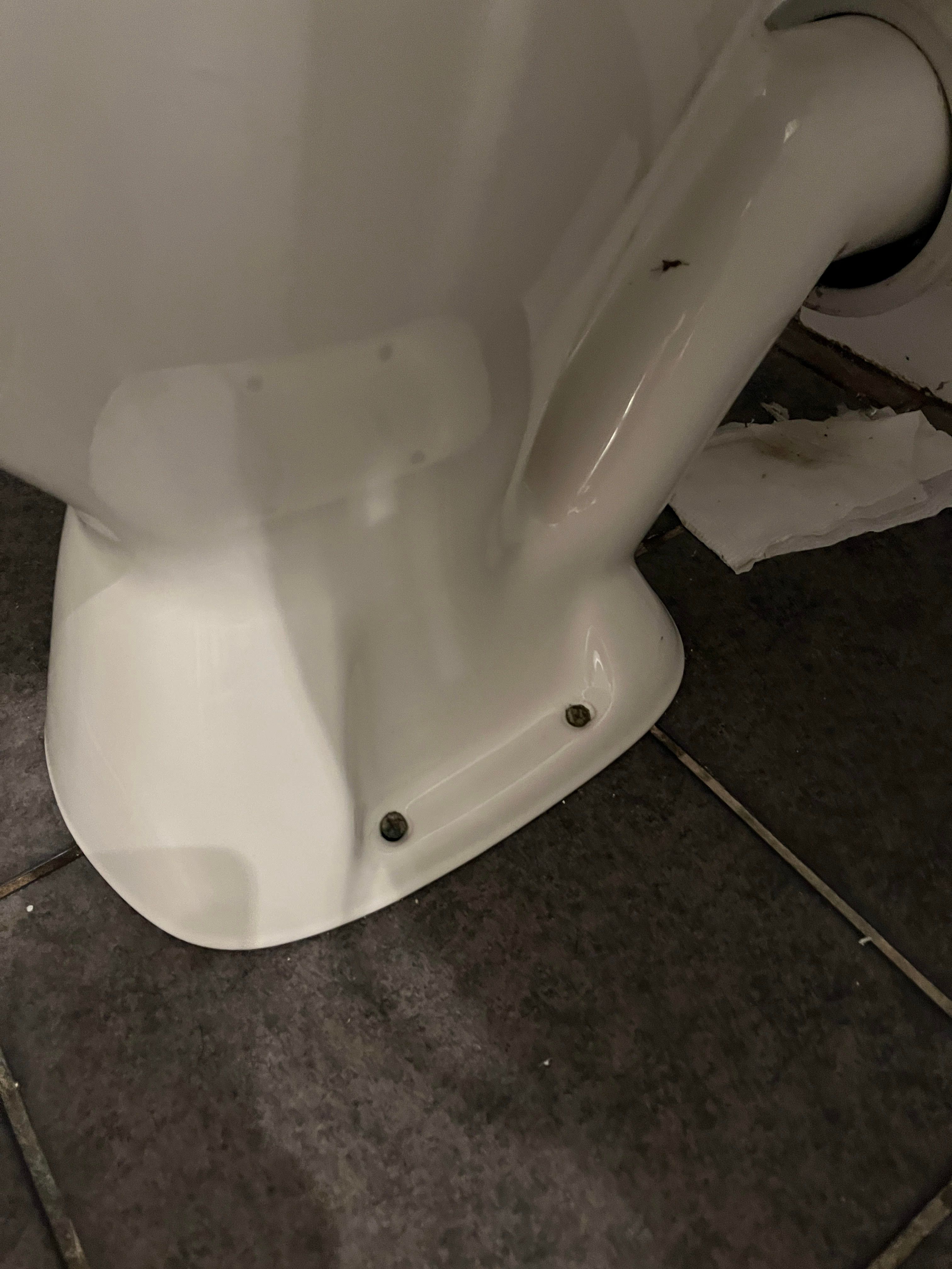 How to fix leaking toilet from seal? Bunnings community