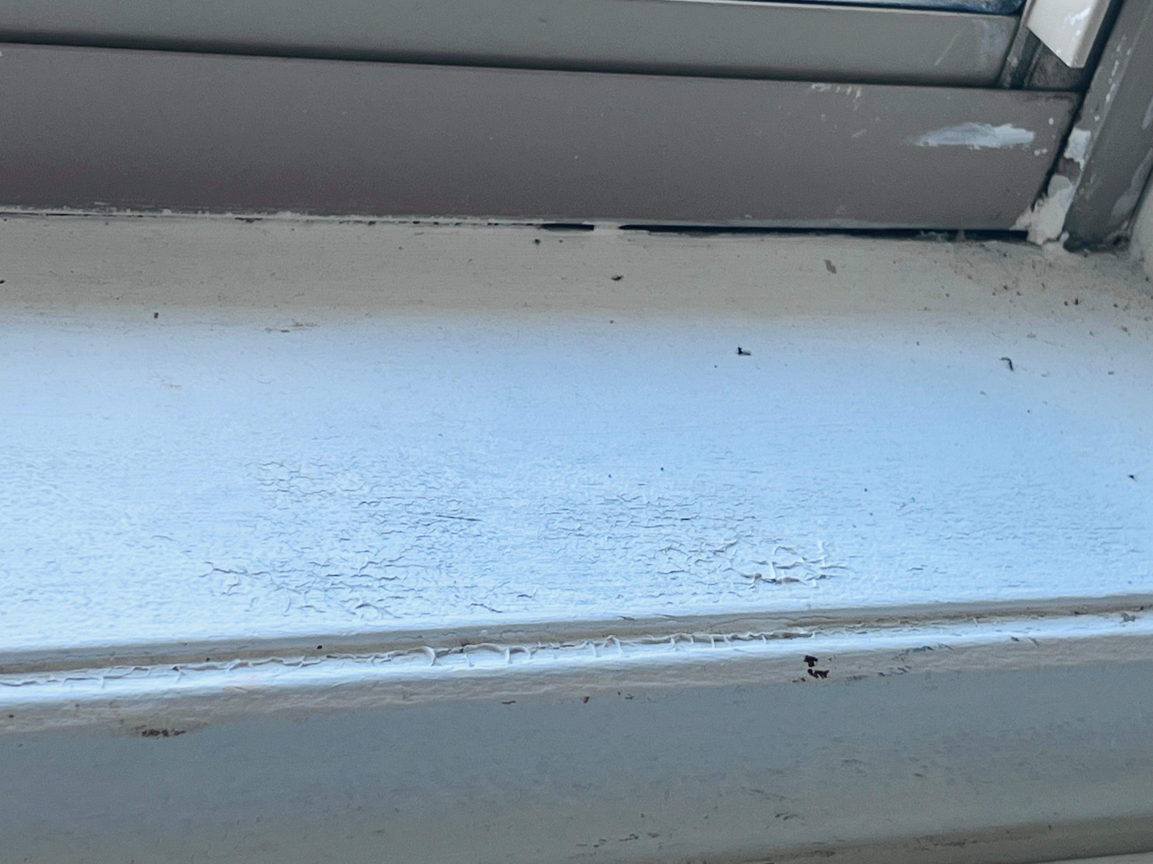 How to repair and repaint window frame? Bunnings community