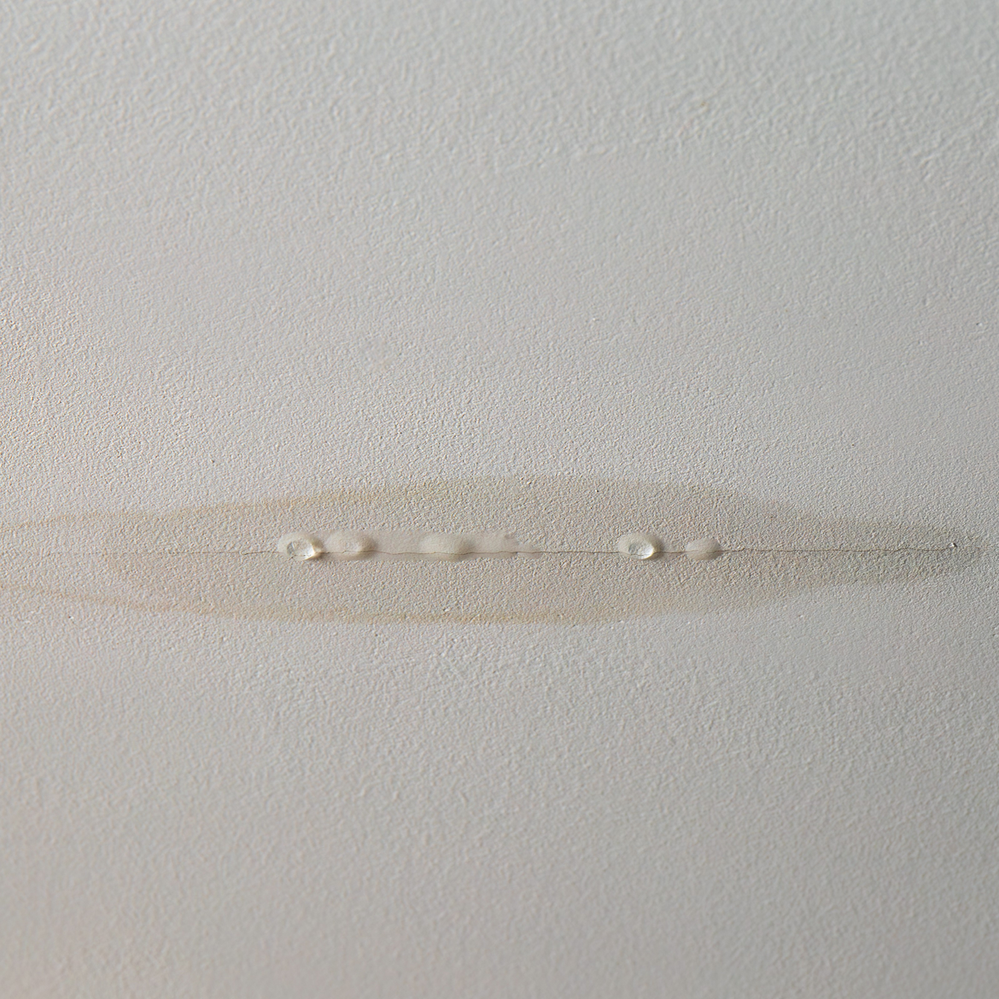 1.2 Active leak in plasterboard.png