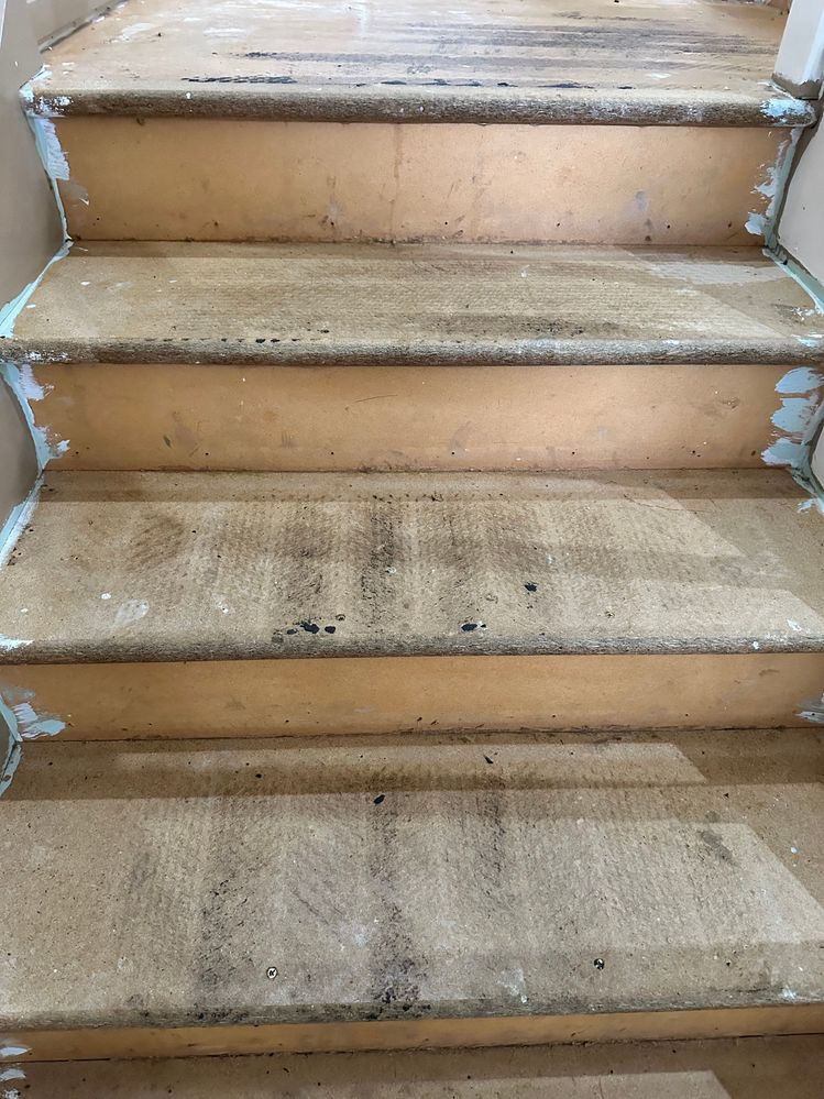 Before attempting the fixings