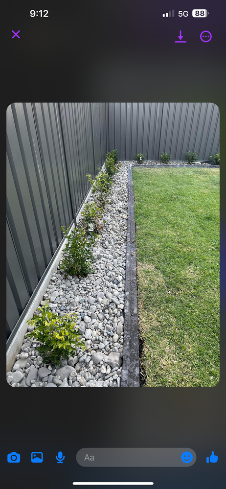 Left of garden when first planted (Feb 2023)