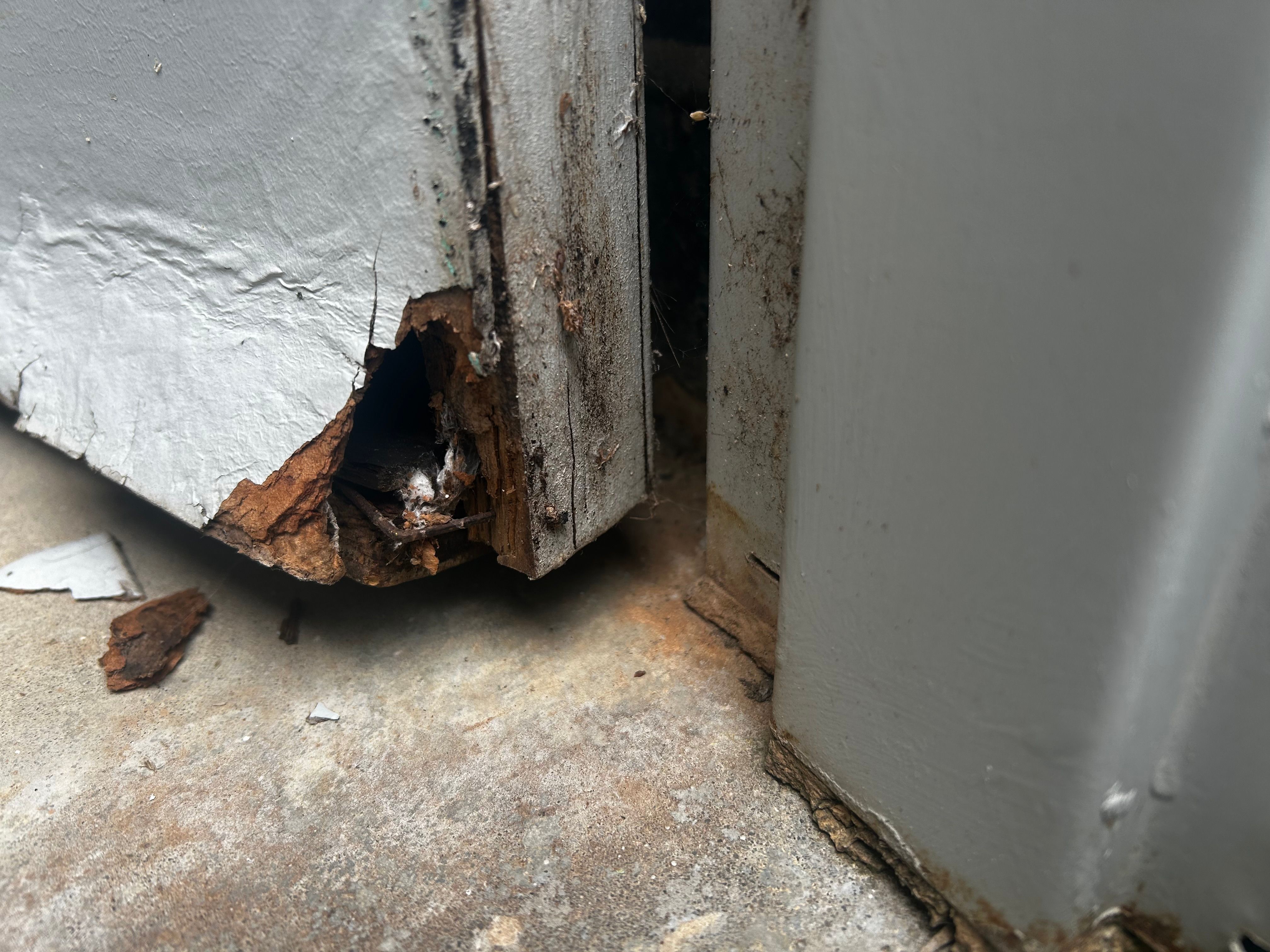 Repair damaged external garage hollow do... Bunnings community