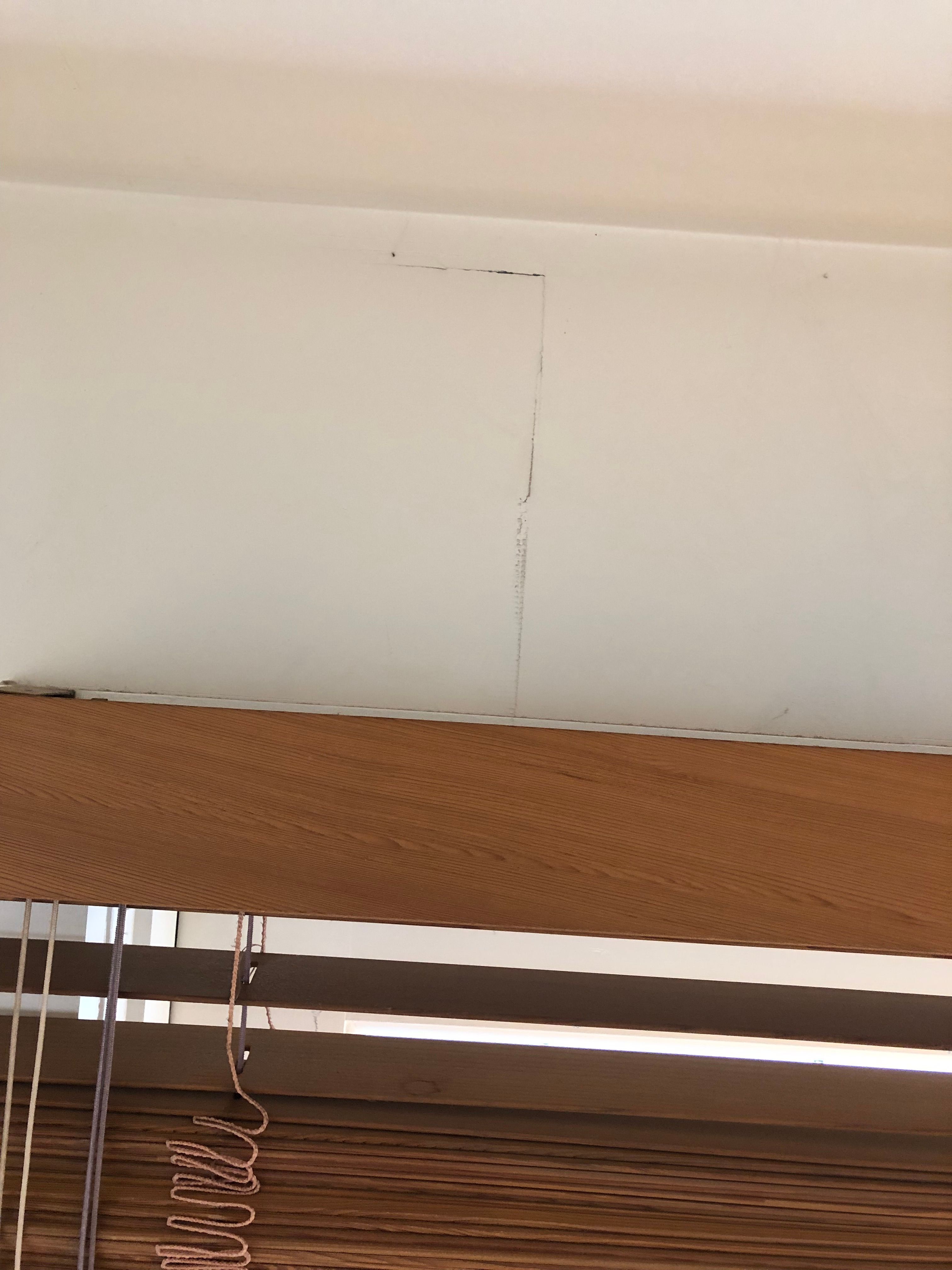 How to repair different plaster cracks? Bunnings community