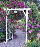 Archway I will attach a sm gate 1mt long.