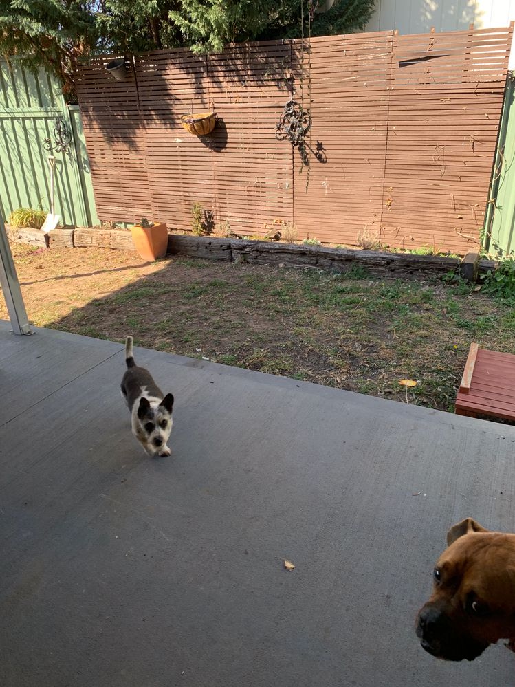 concrete foundation blocks Bunnings community