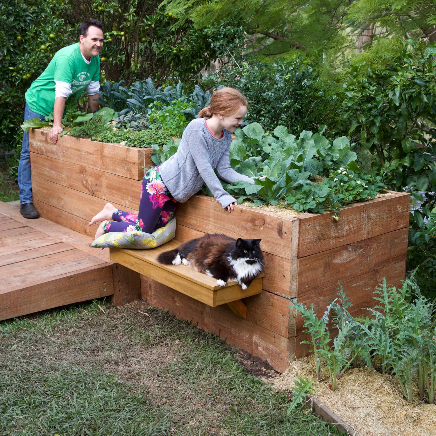 Top 10 Most Popular Raised Garden Beds, Wooden Plant Boxes Bunnings