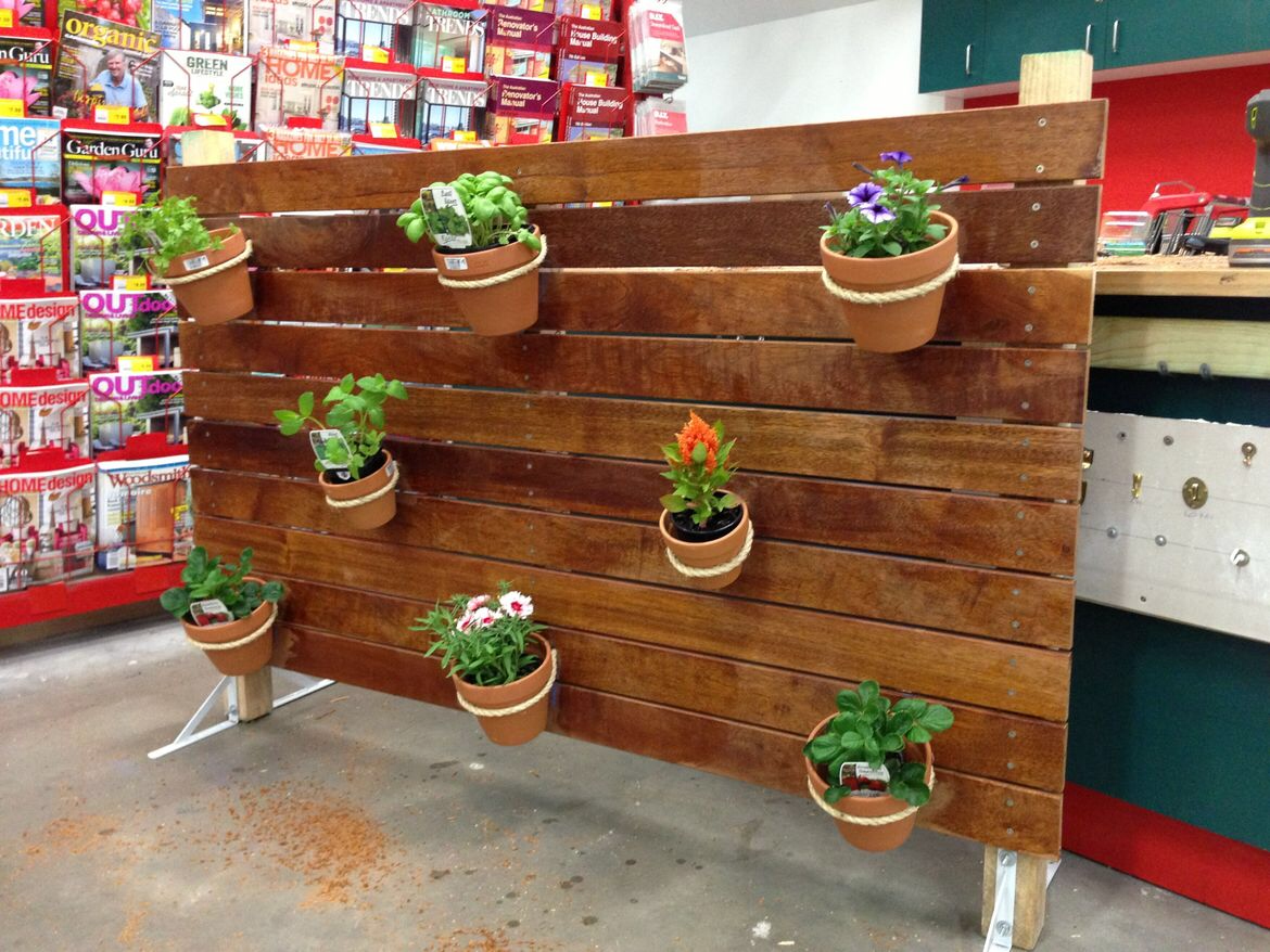 Screening / Vertical garden project idea Bunnings community