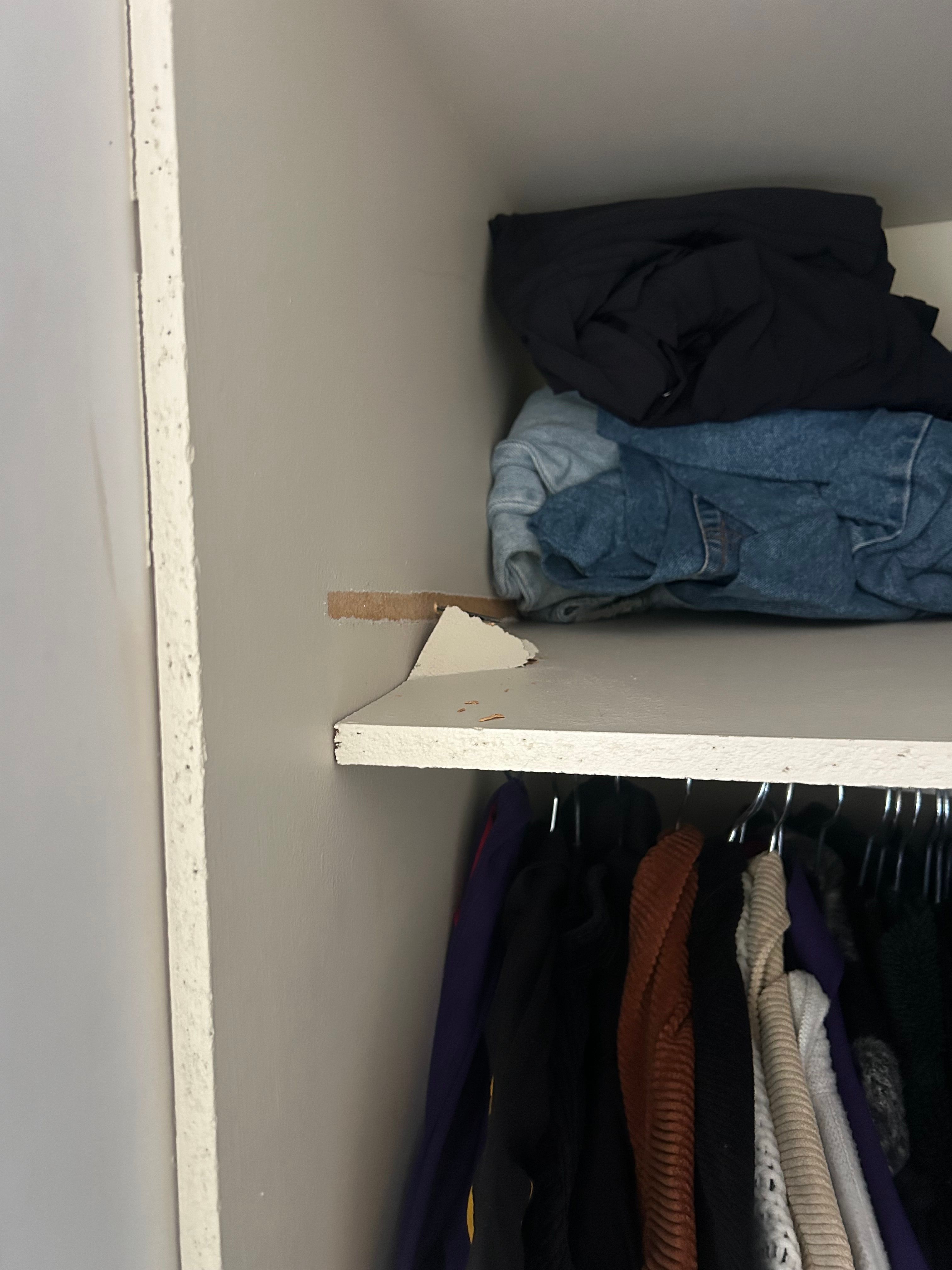 How to fix a wardrobe shelf? Bunnings community