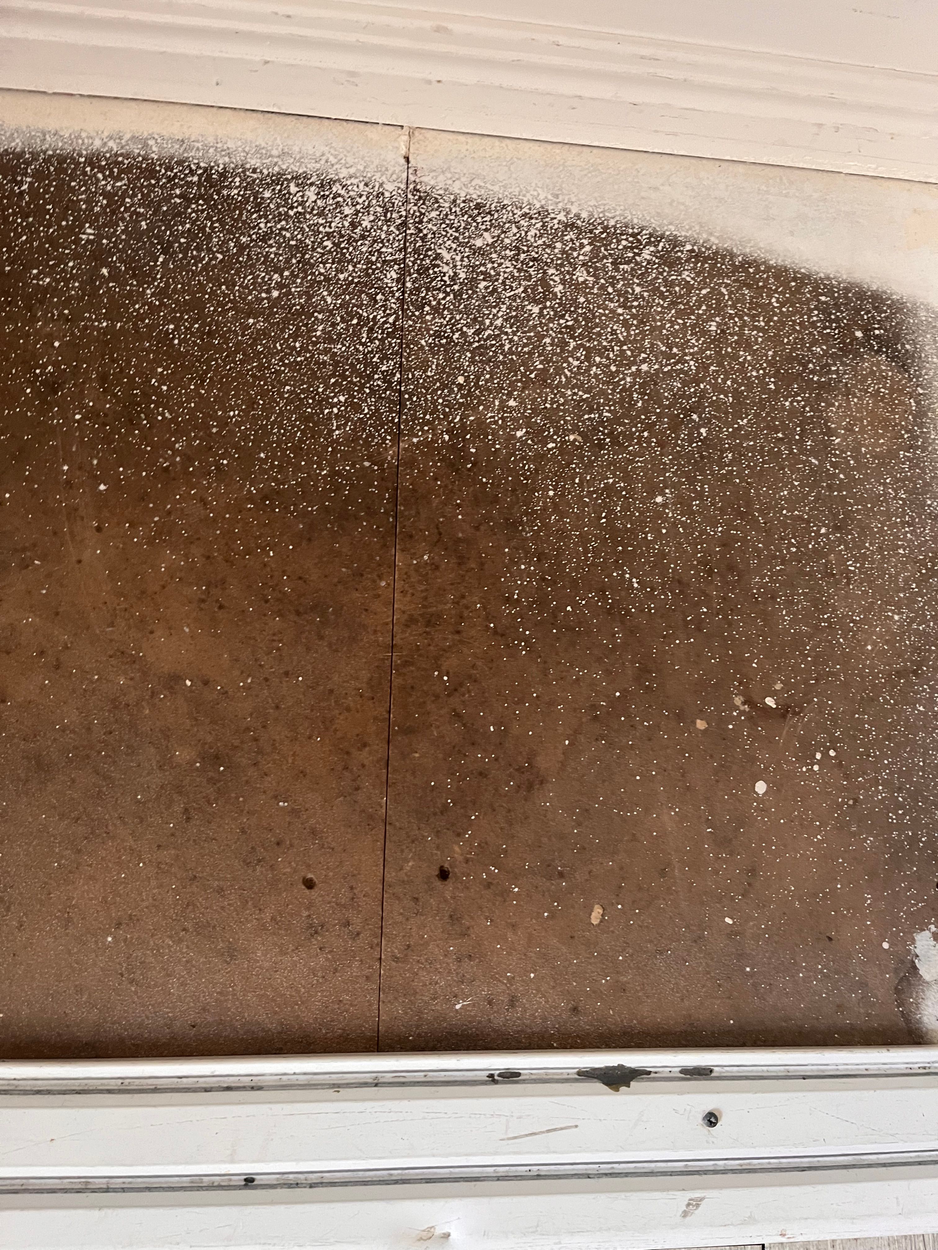 How to treat mould on chipboard in close... Page 2 Bunnings