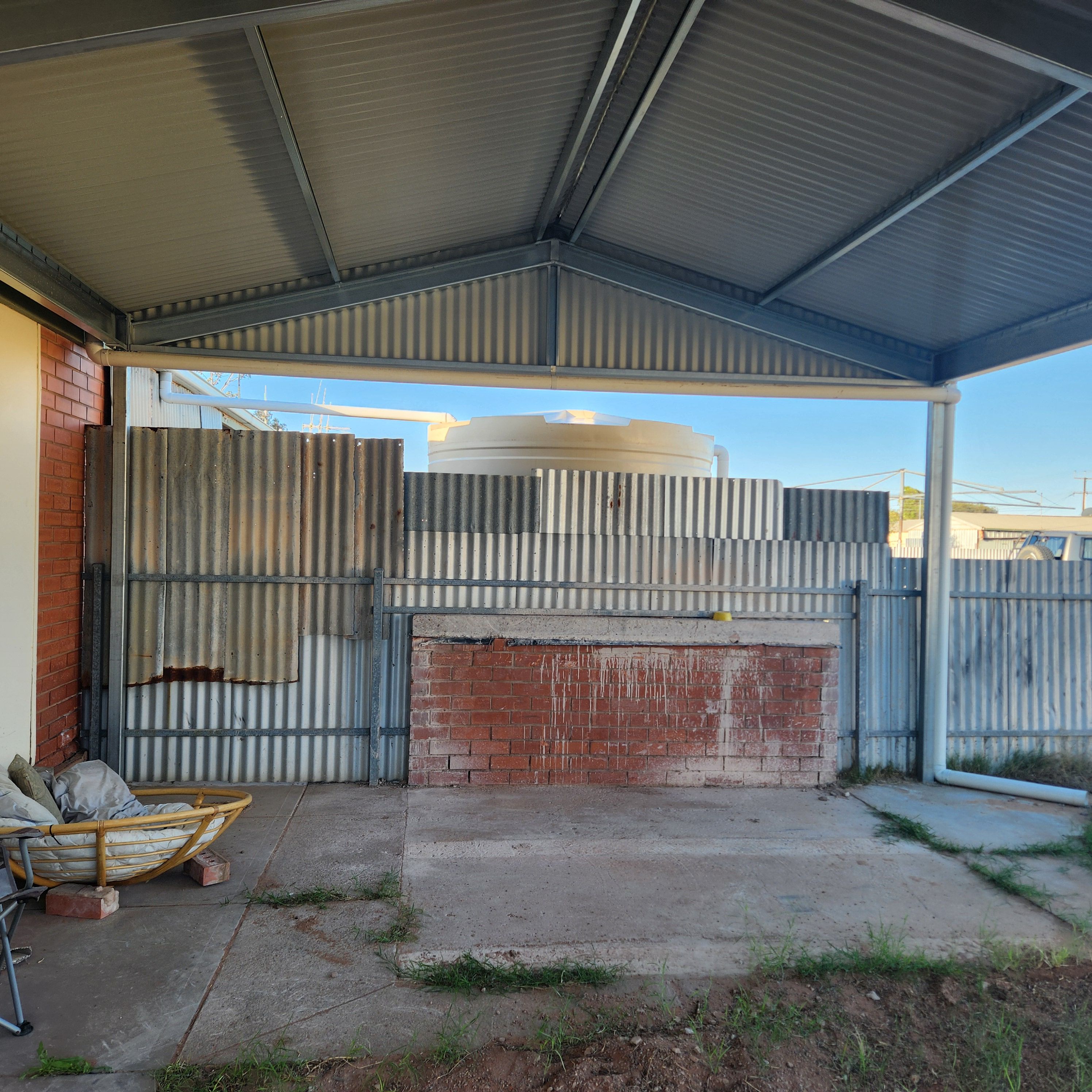 Need suggestions for plants to cover ugl... Bunnings community