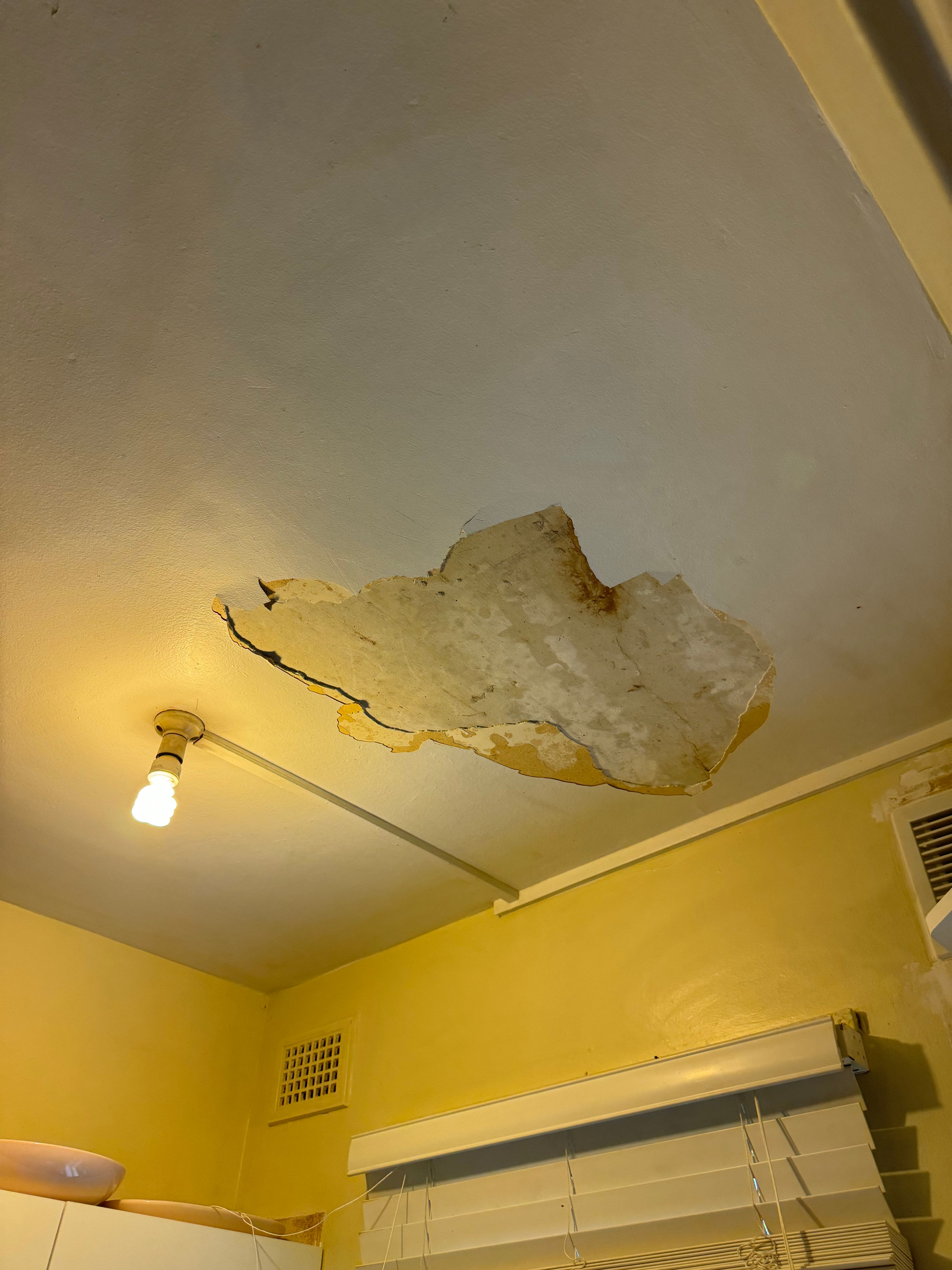 How to repair peeling paint and skim coa... Bunnings community