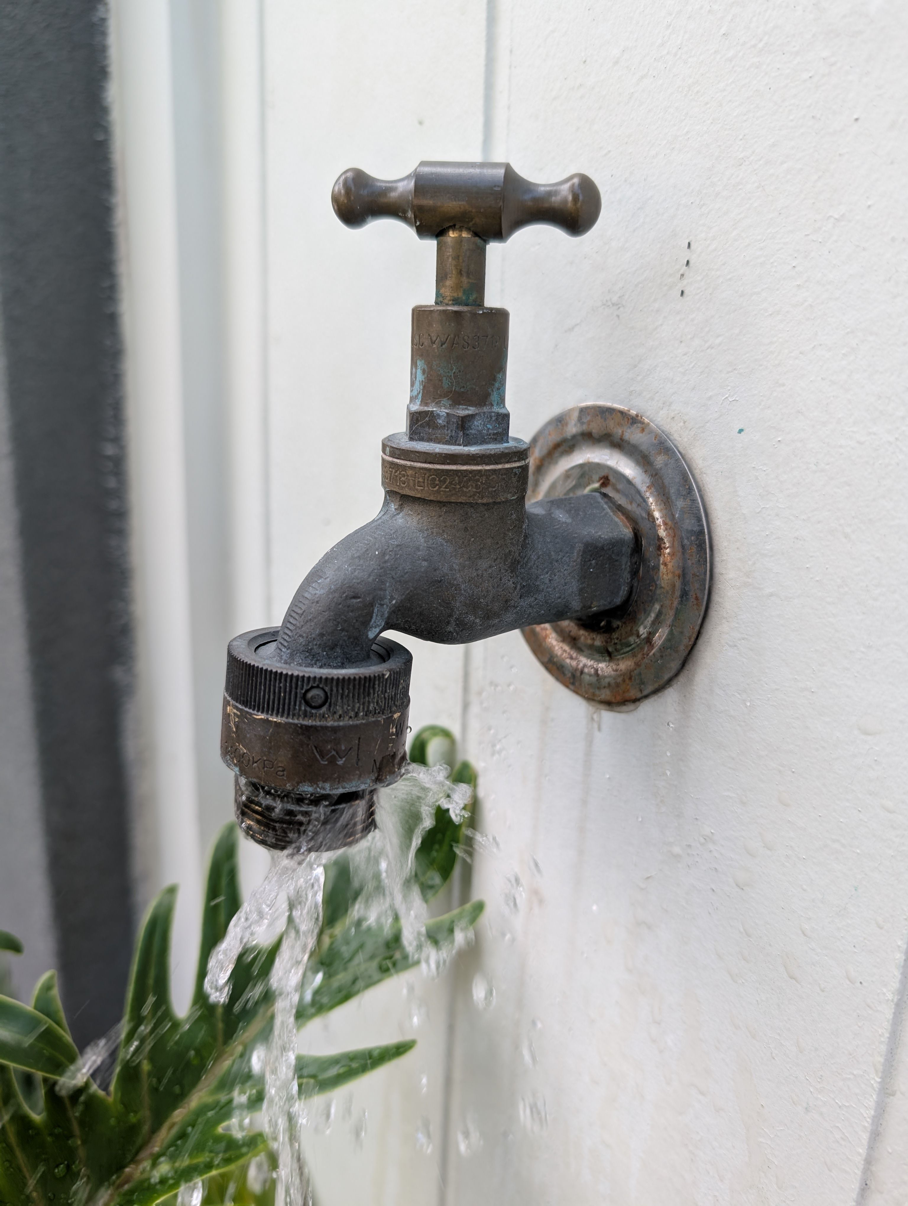How to fix outdoor brass tap leak? Bunnings community