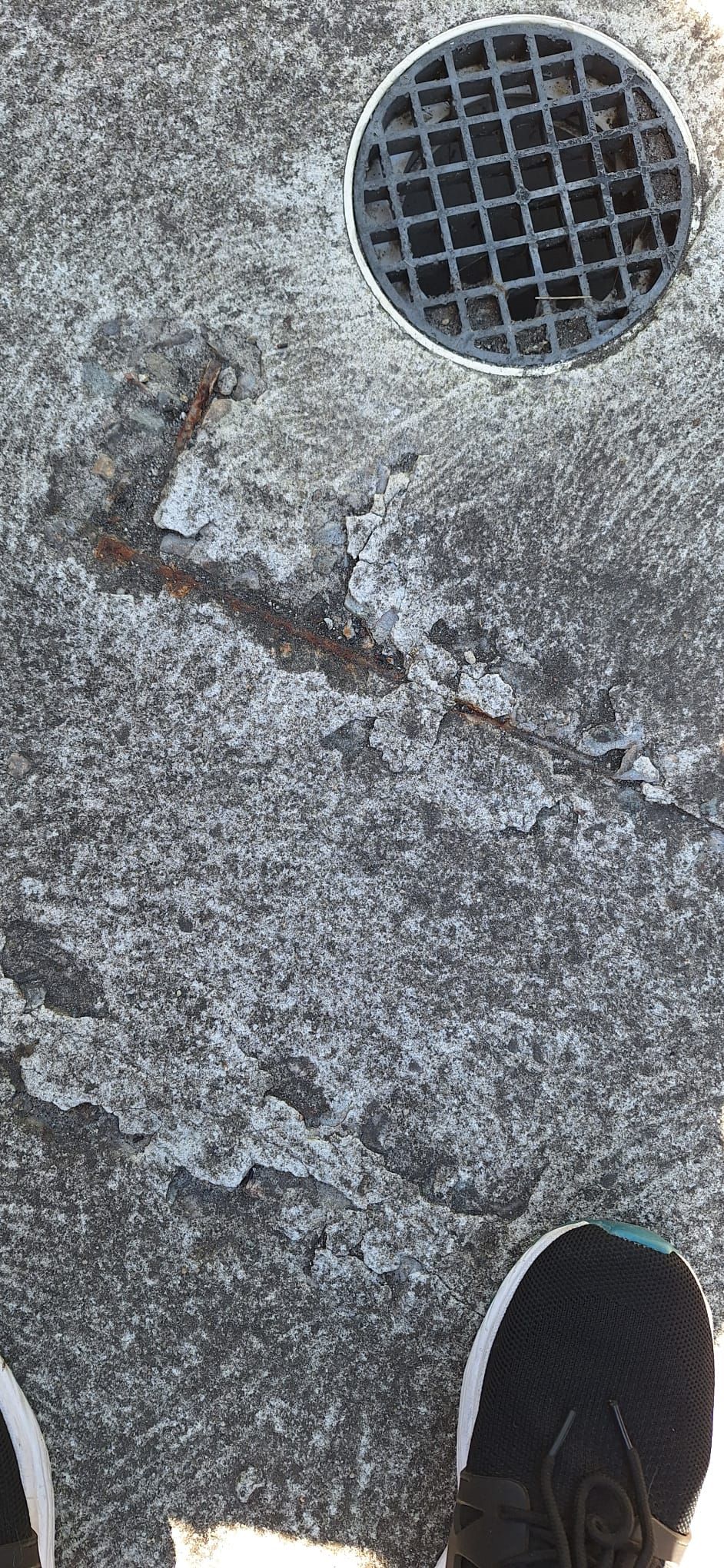 How to fix exposed rebar on concrete pat... Bunnings community