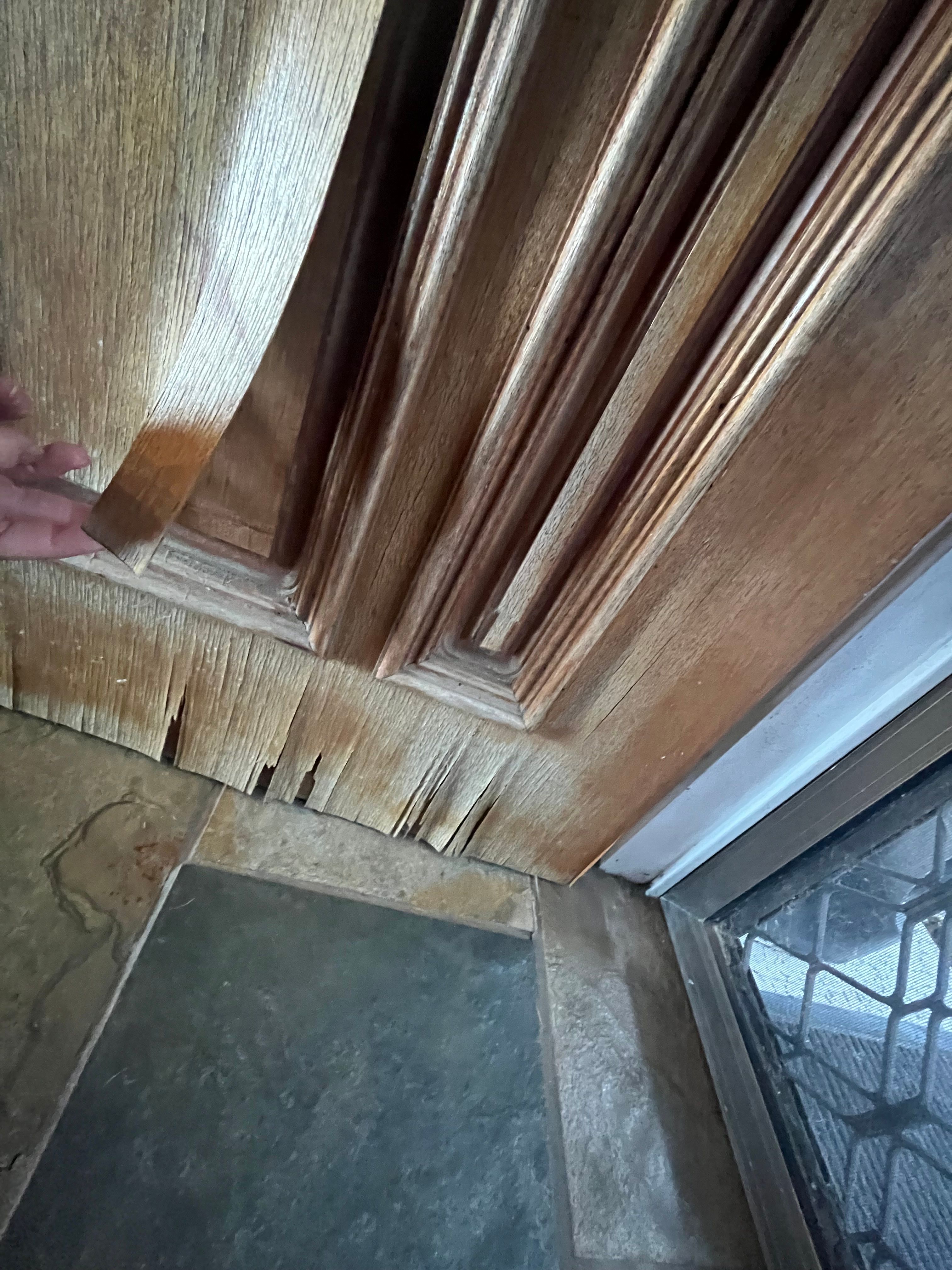 How to restore front door with peeling v... Bunnings community