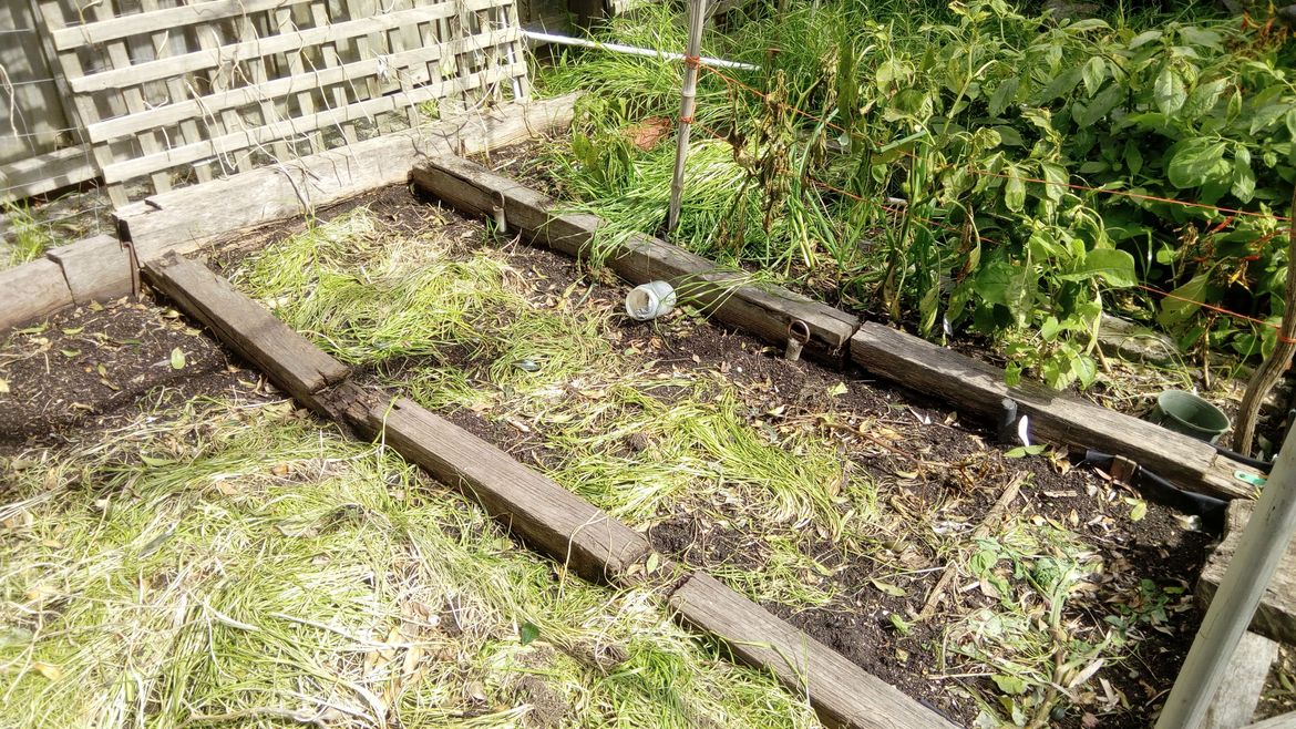 weeds pulled and waiting to be dug in