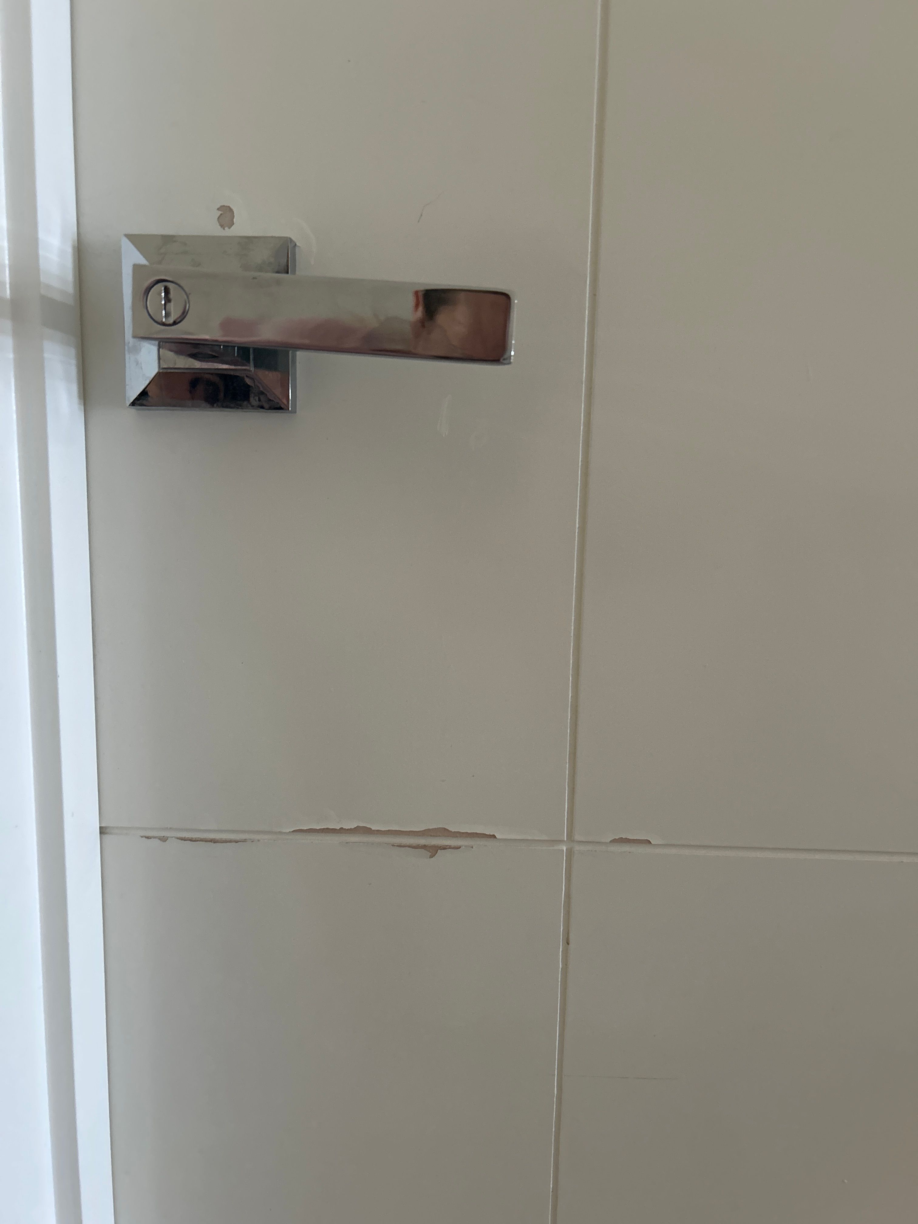 peeled door paint Bunnings community