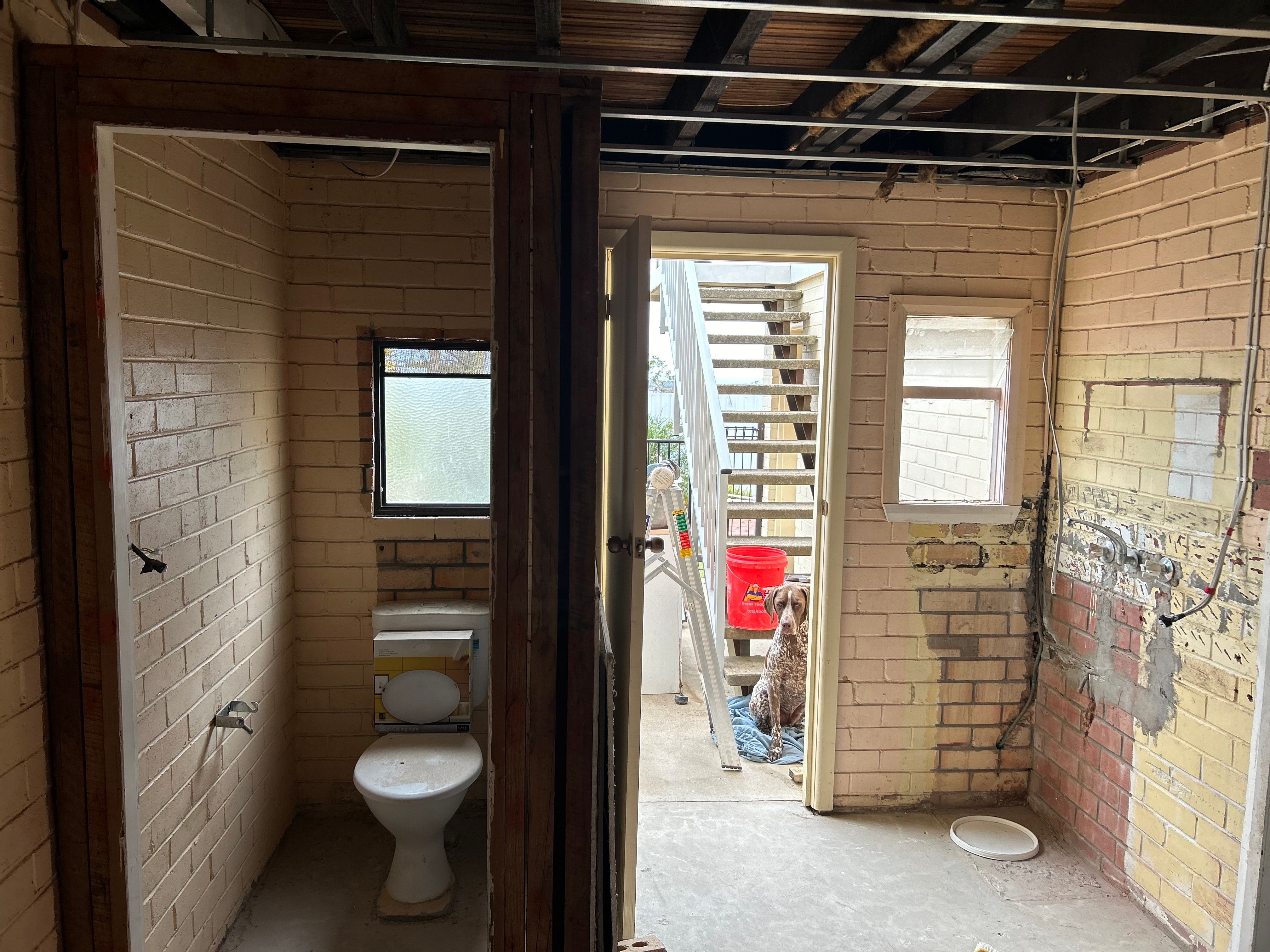 How to install battens in bathroom? | Bunnings Workshop community