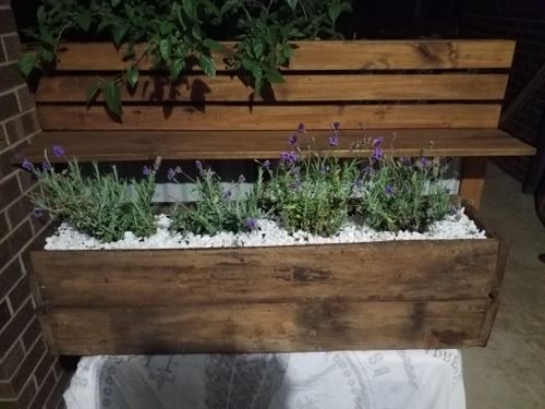 Lavender planter box from pallet scraps.