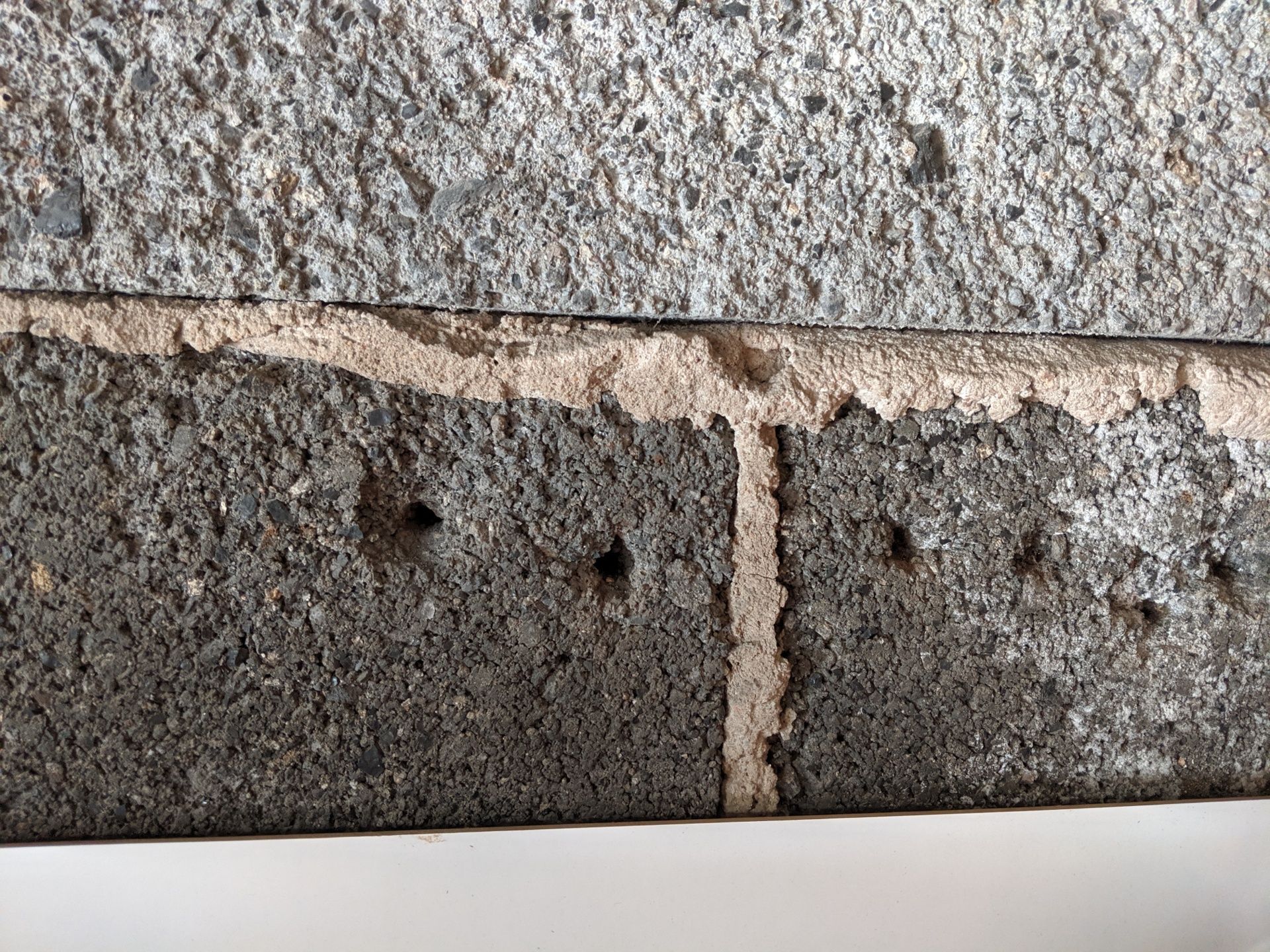 Solved: How to fill holes in concrete blocks | Bunnings Workshop community