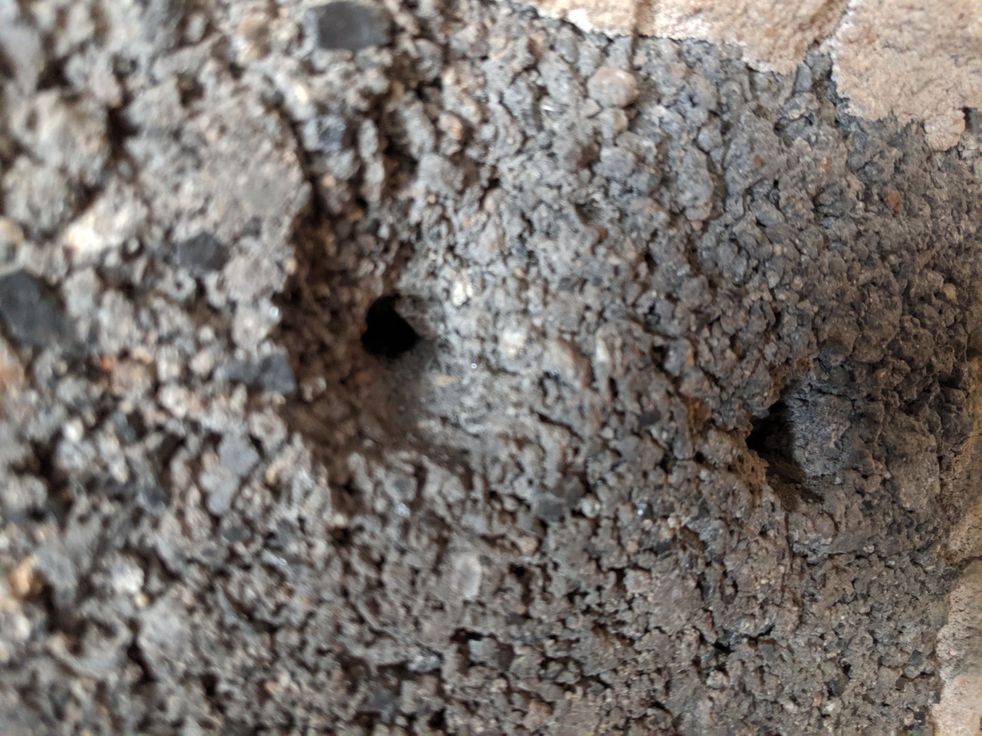 Solved How to fill holes in concrete blocks Bunnings community