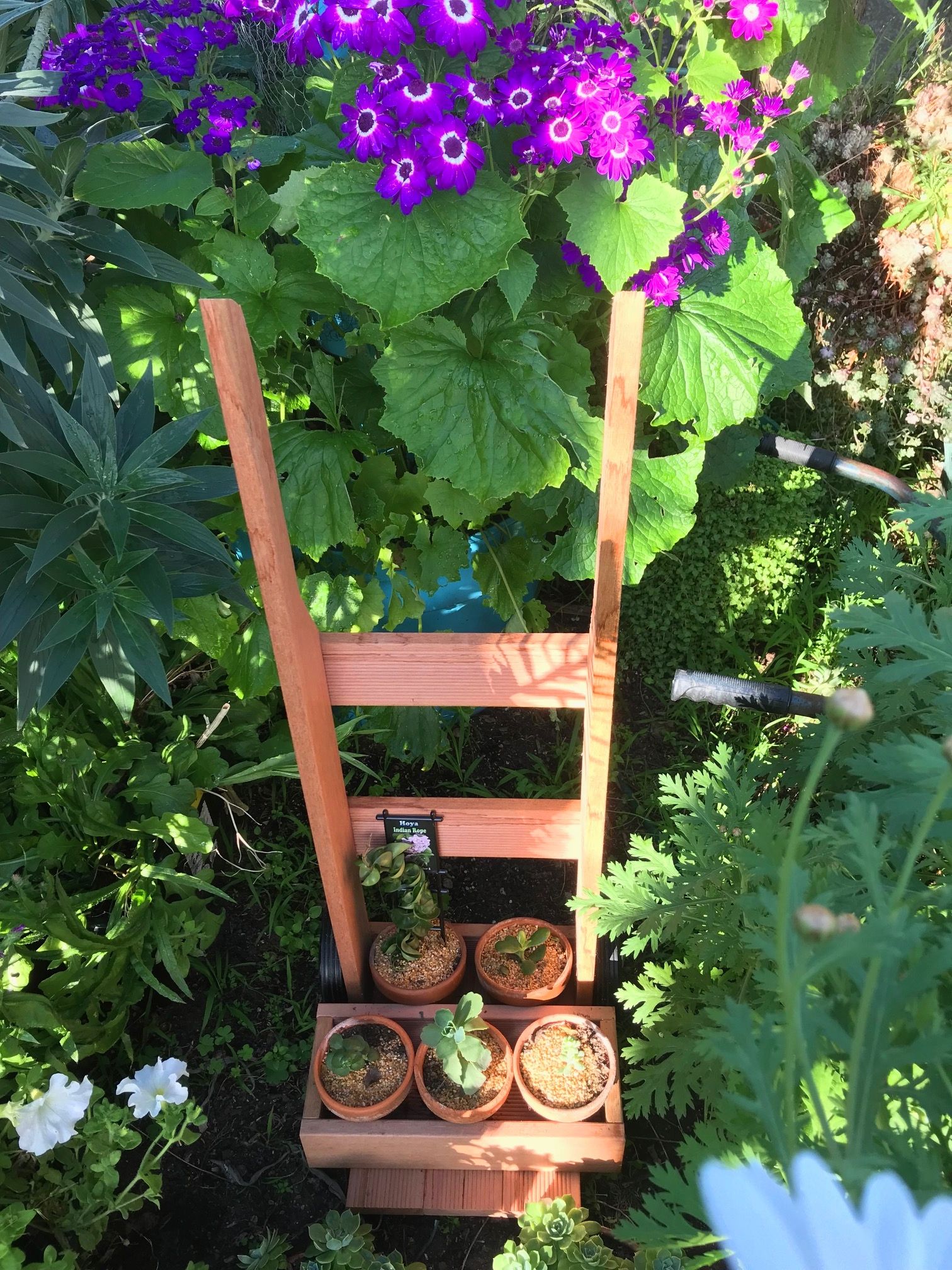 Sack truck planter Bunnings community