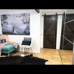 used as barn door in japanese black