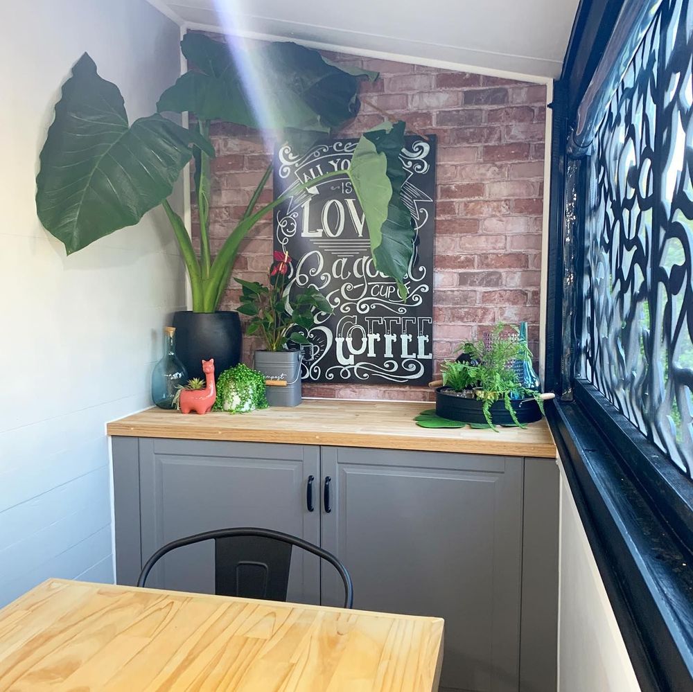 fence pailing 'shiplap' feature wall painted (left side) alfresco dining area