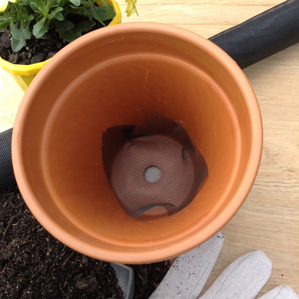 3.1 Cover the hole with mesh.JPG