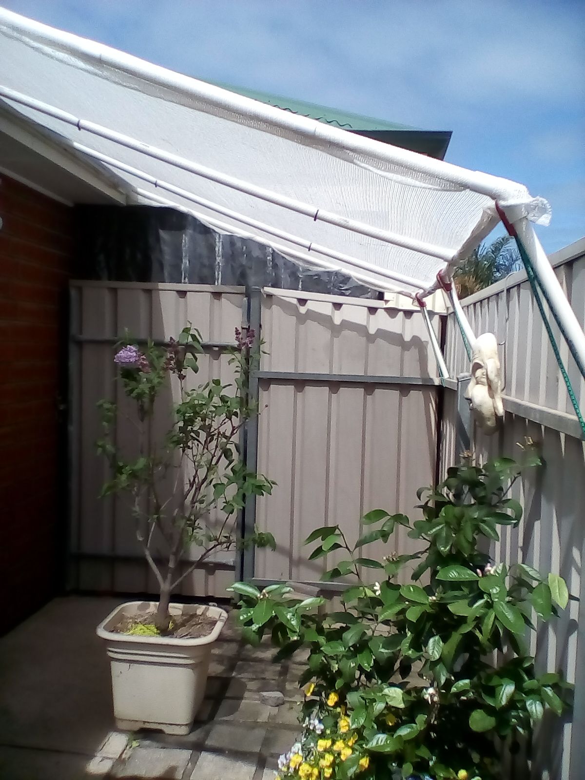 Shade cloth shelters for Summer for gard... Bunnings community