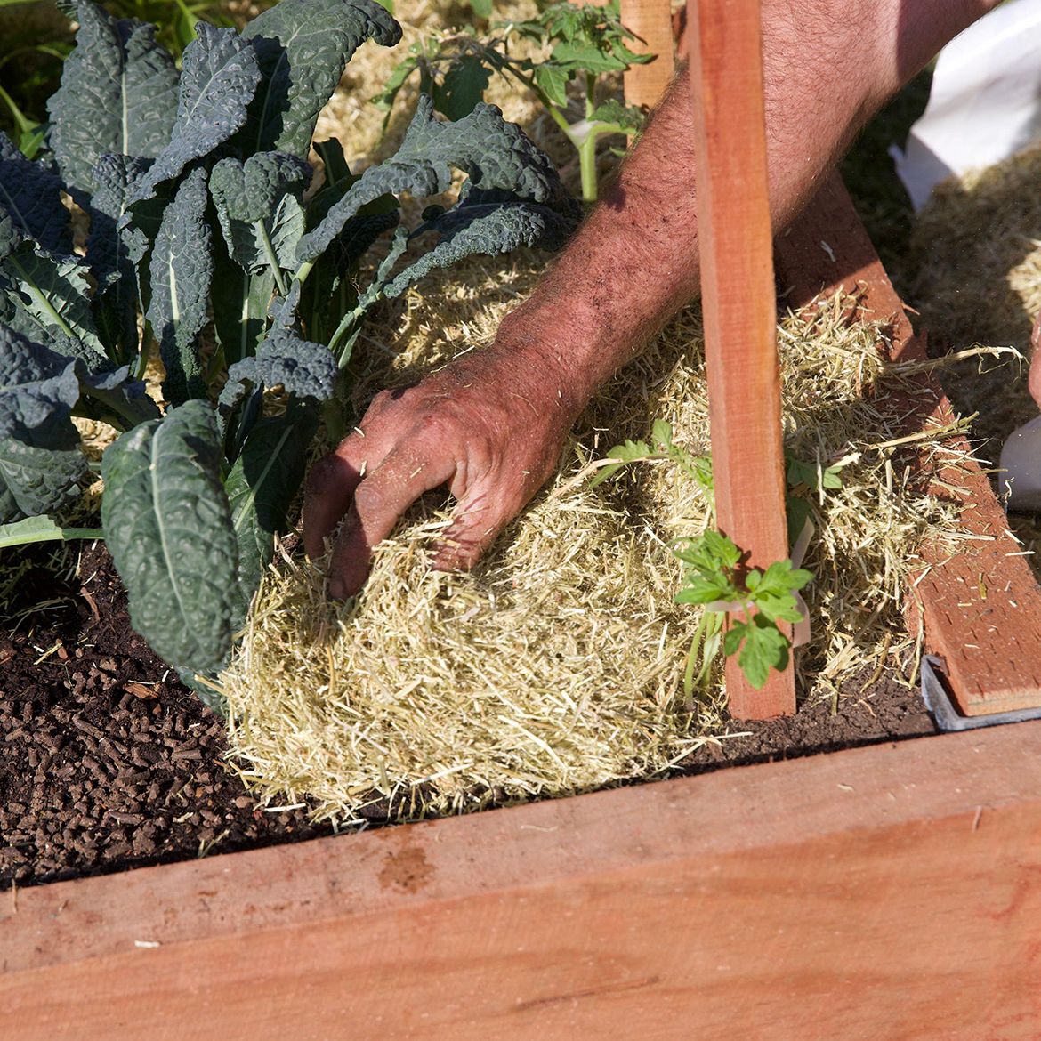 How to build a simple raised garden bed Bunnings community