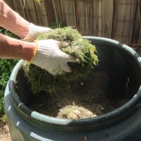 3. Lawn clippings can be used to start your compost.jpg