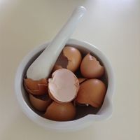 4.3 Egg shells can be put into the compost.JPG