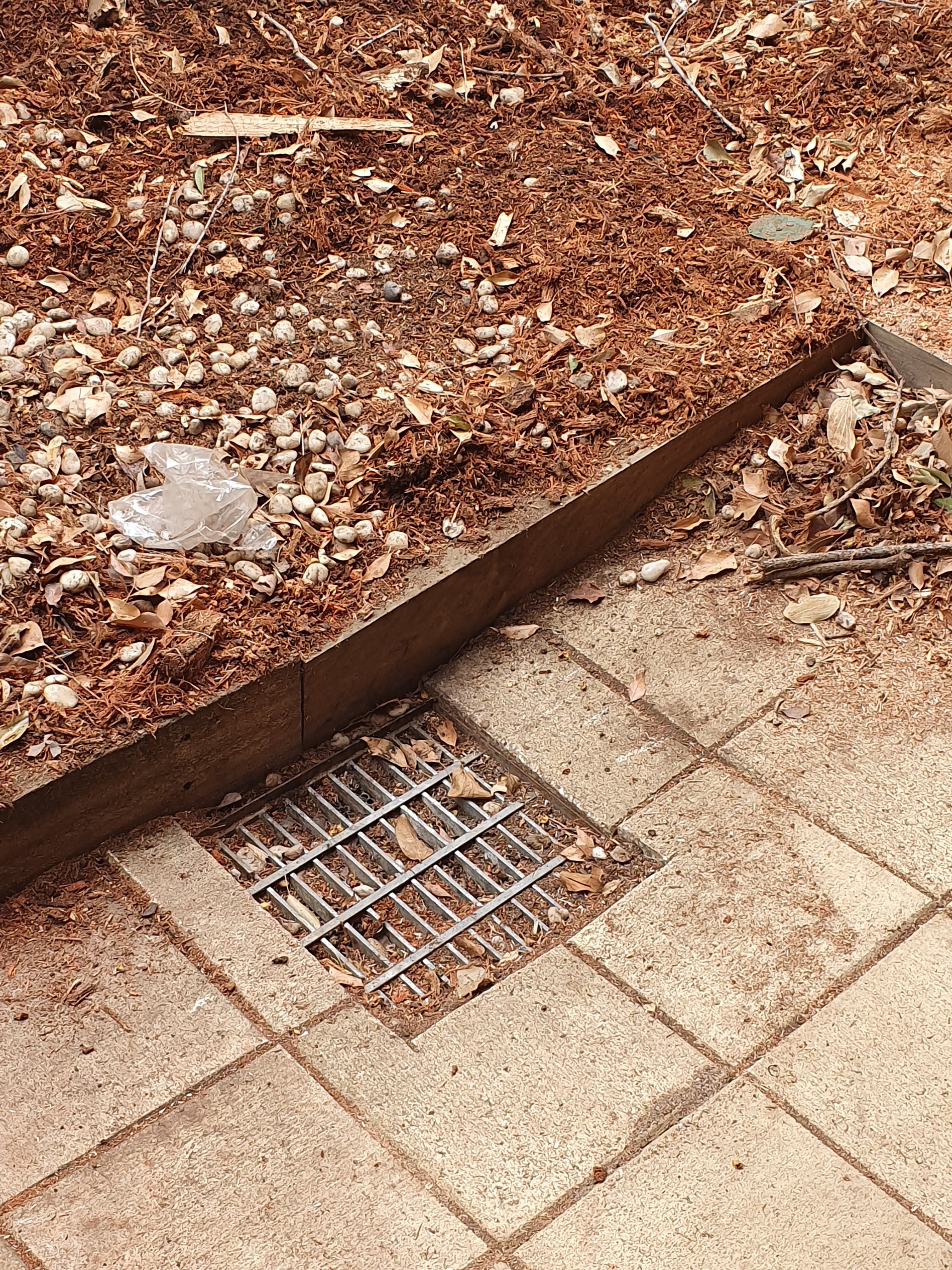 Decking and Storm Drain Bunnings community