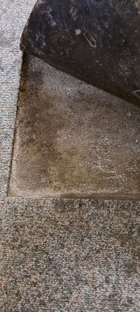 Moisture or mould slab issue