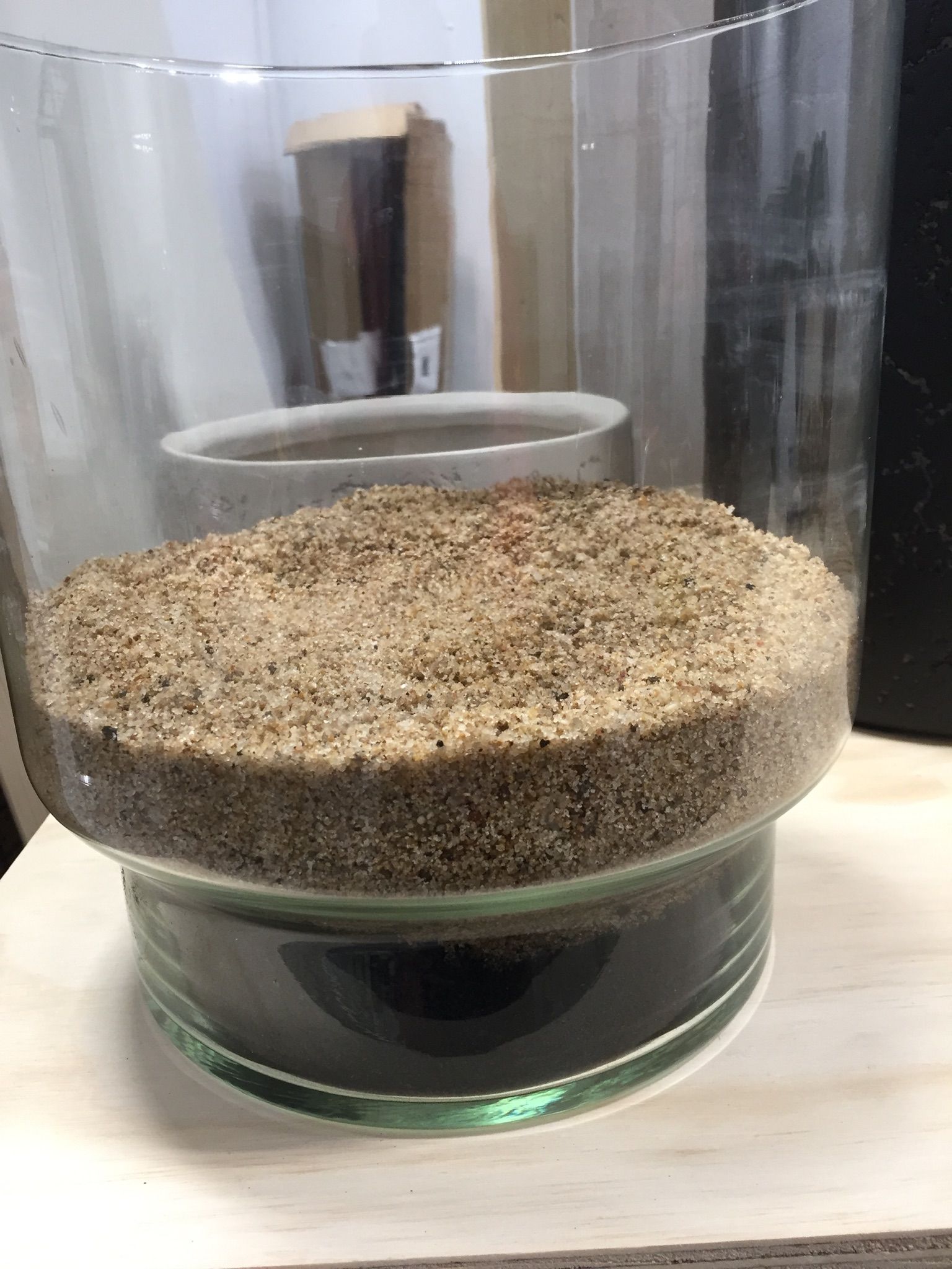 How to make your own terrarium Bunnings community