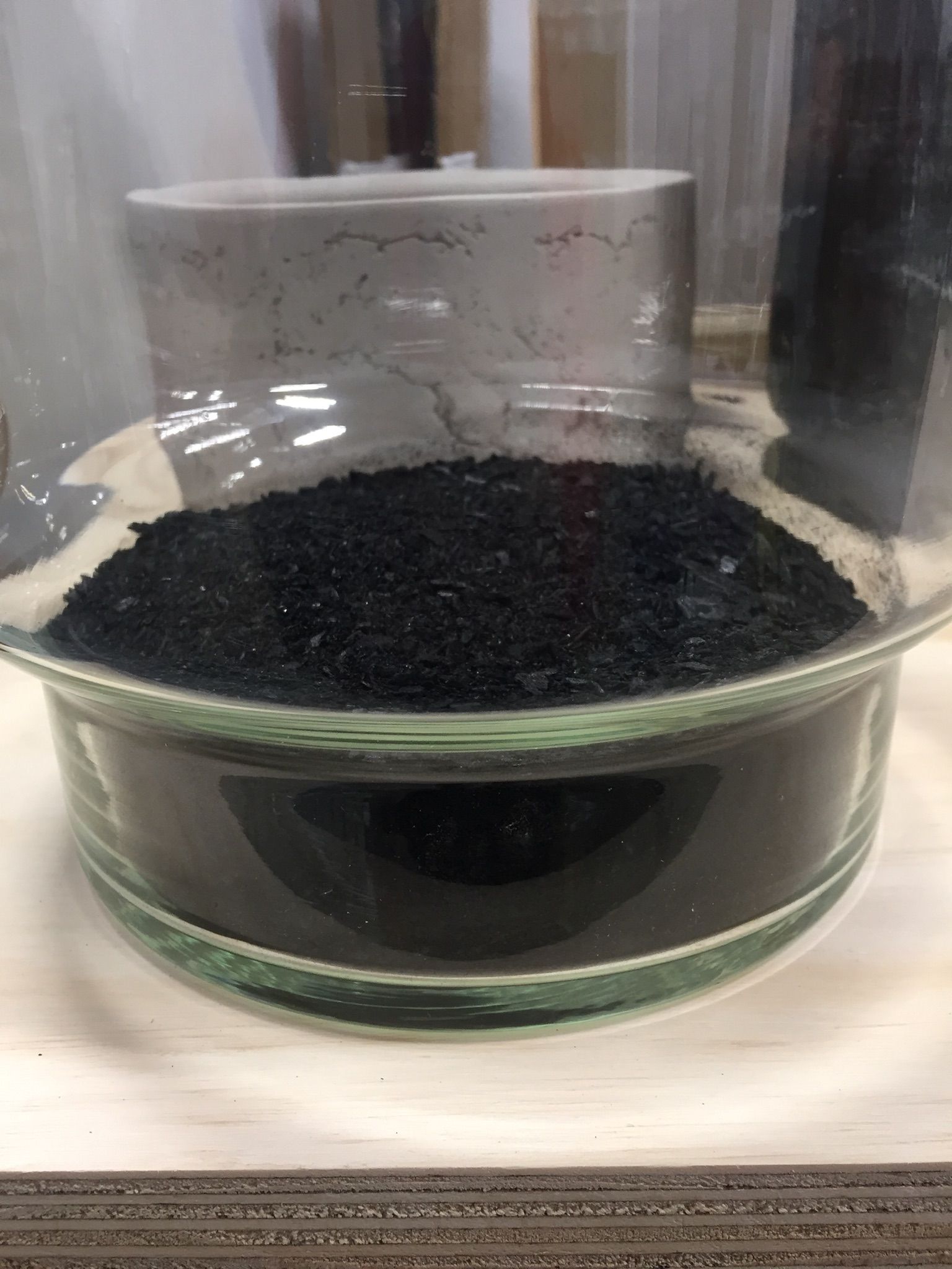 How to make your own terrarium Bunnings community