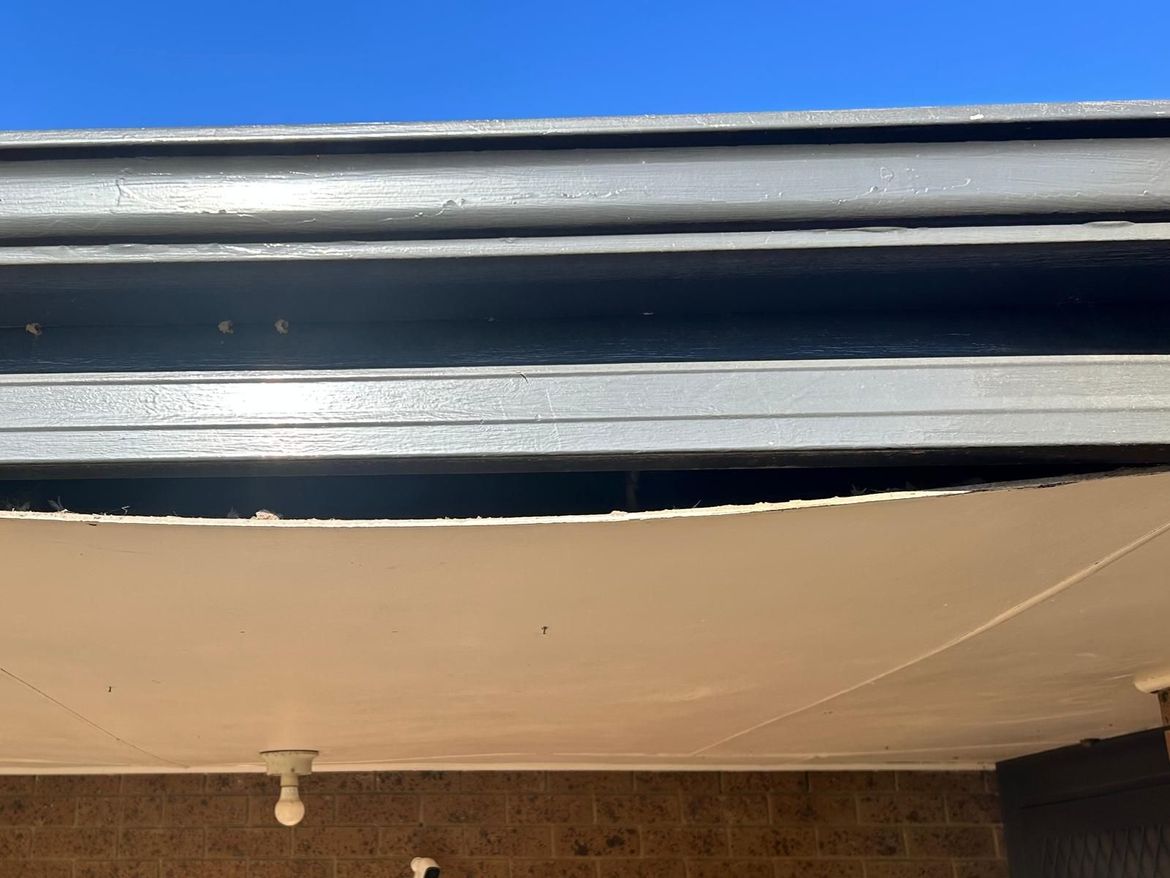 WhatsApp Image 2025-03-27 at 4.53.12 PM.jpeg