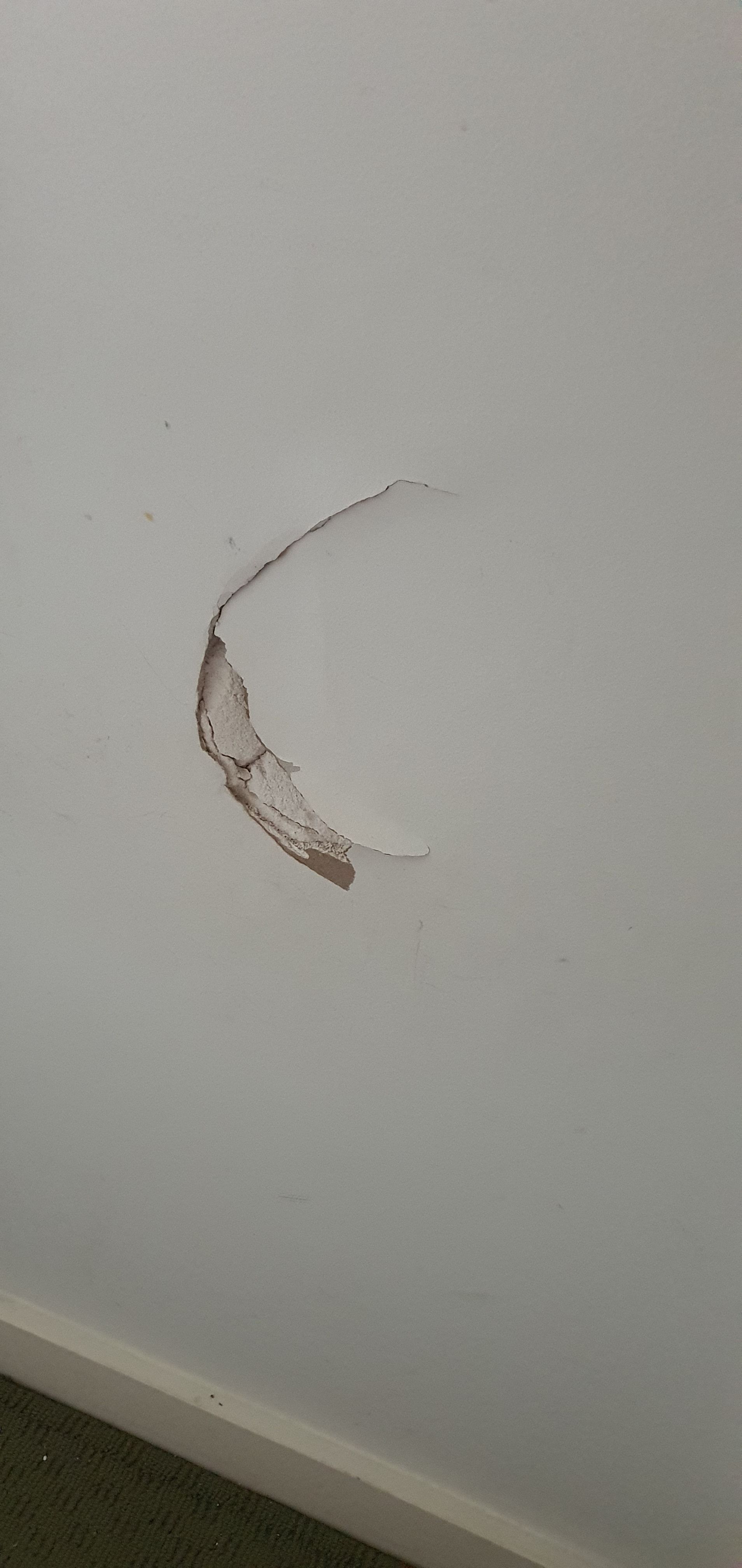 Solved: How to plaster over hole in wall? | Bunnings Workshop community