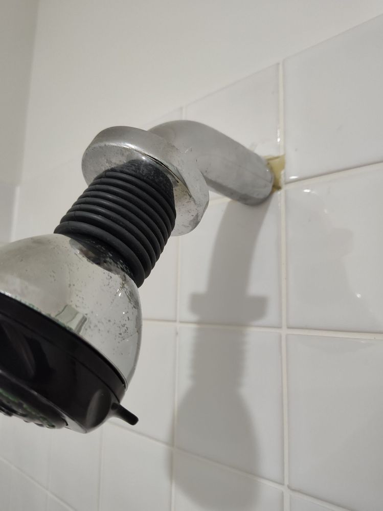 Shower head 2.jpg