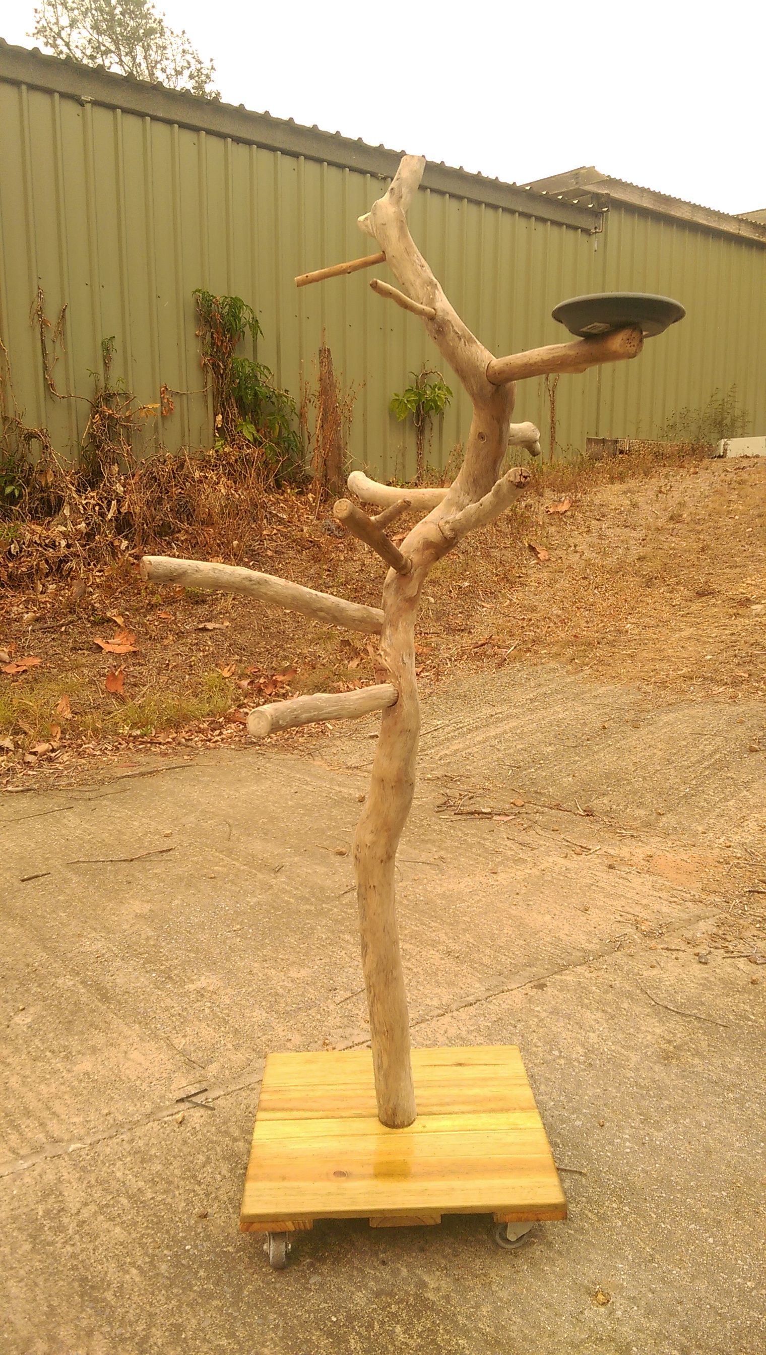 Portable bird perch Bunnings community