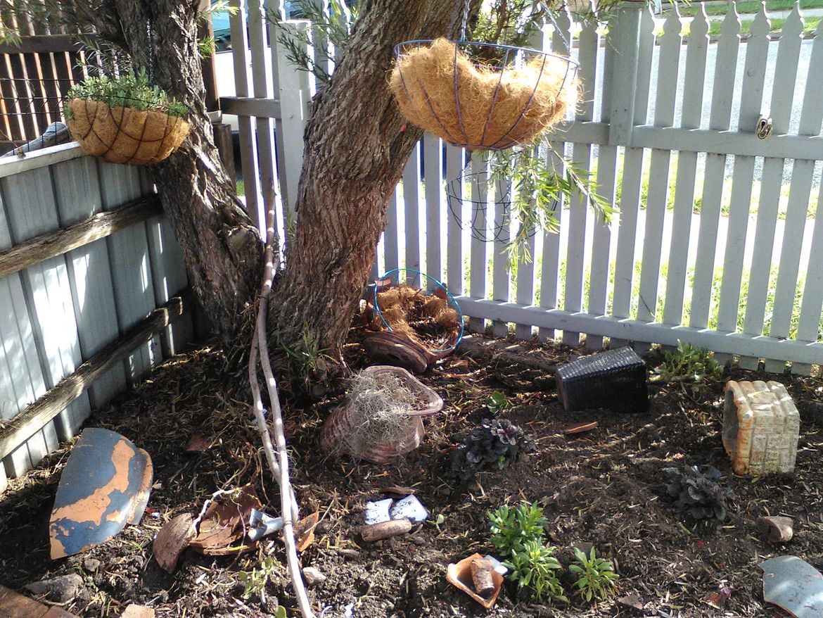 My first go at designing and landscaping a small garden