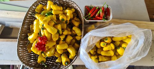 Still plenty to come