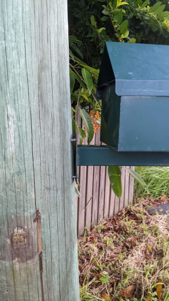 Trying to drive the screws like this one here.