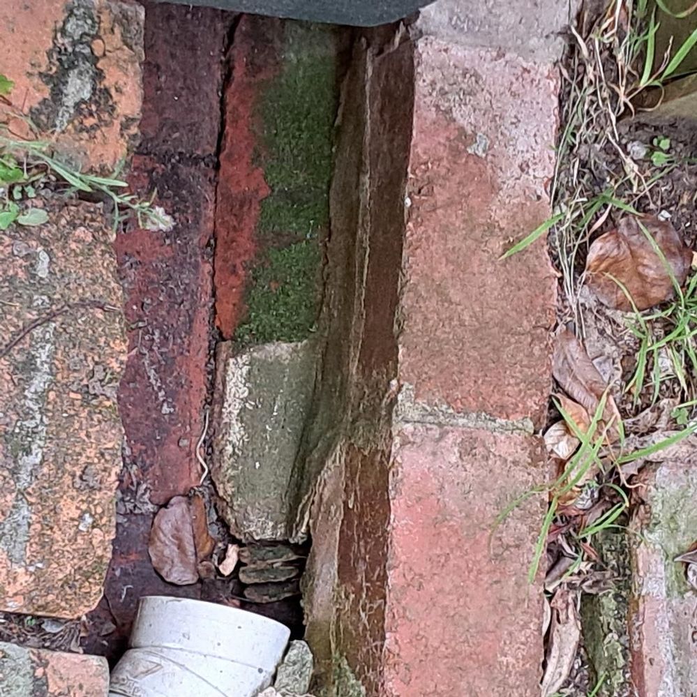 Back door bricks - side drain start near the kitchen back door - towards front of house down the side.jpeg